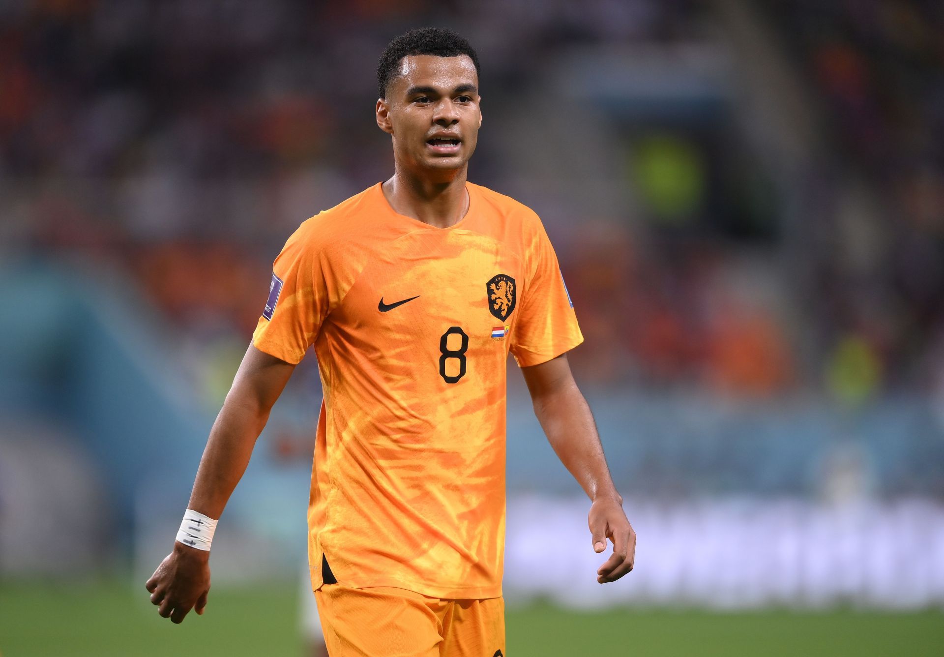 Netherlands v Ecuador: Group A - FIFA World Cup Qatar 2022 (Photo by Laurence Griffiths/Getty Images)