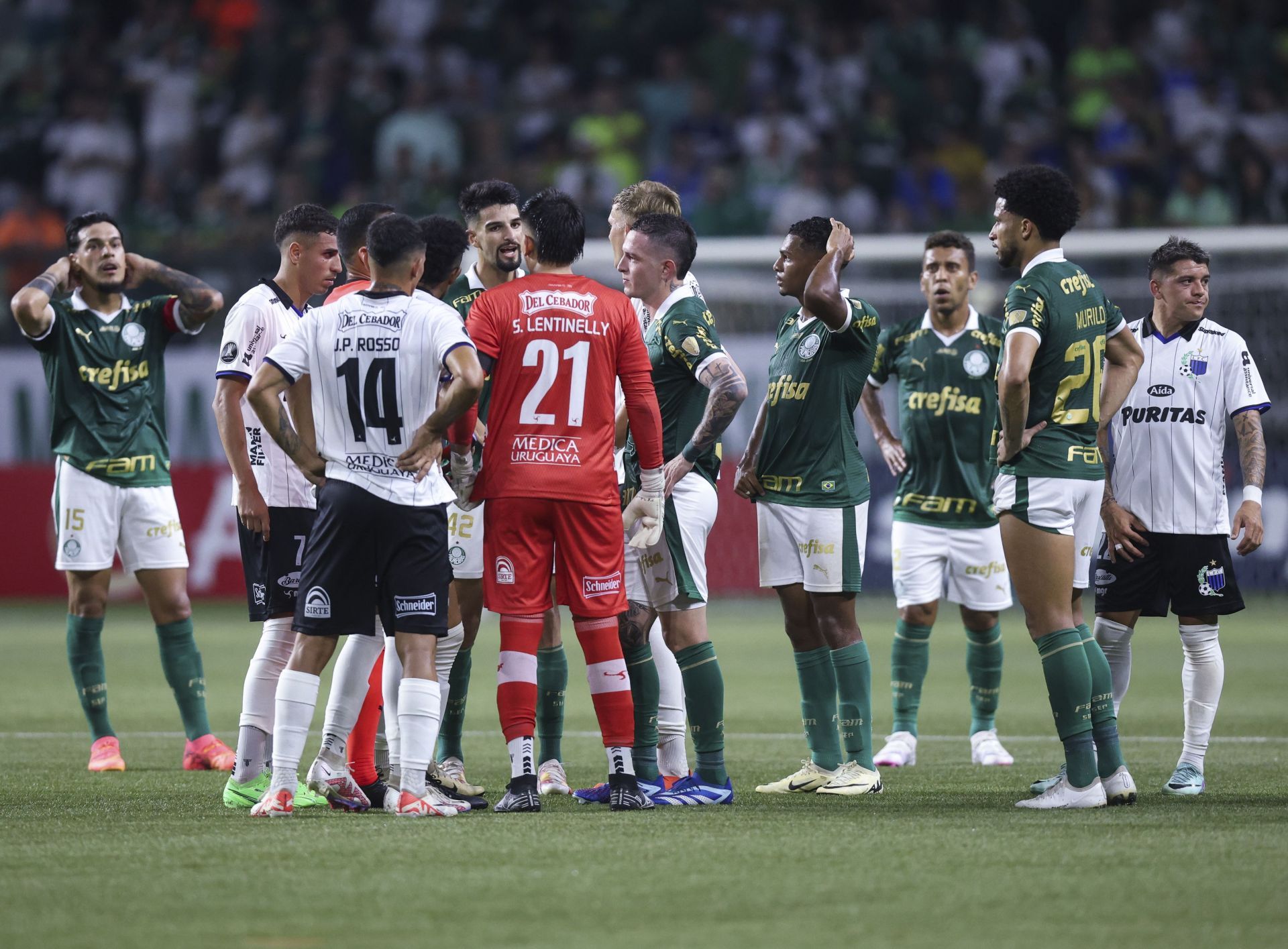 Palmeiras v Liverpool - Copa CONMEBOL Libertadores 2024