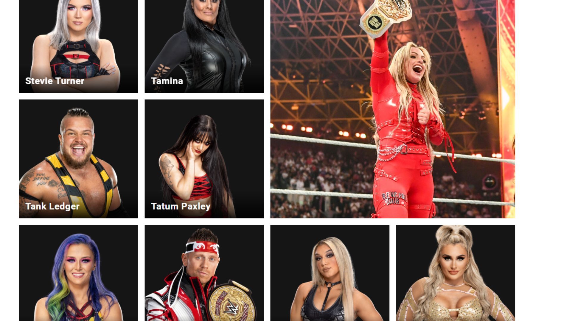 The stars are currently not on the official roster (Credit: WWE.com)