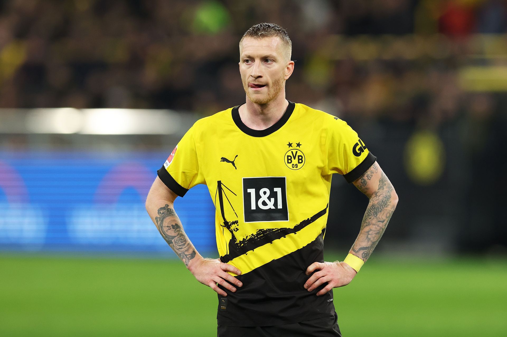 Borussia Dortmund v TSG Hoffenheim - Bundesliga