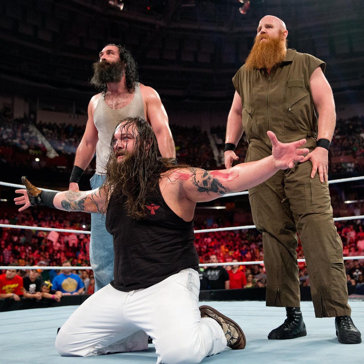 The Wyatt Family in the ring