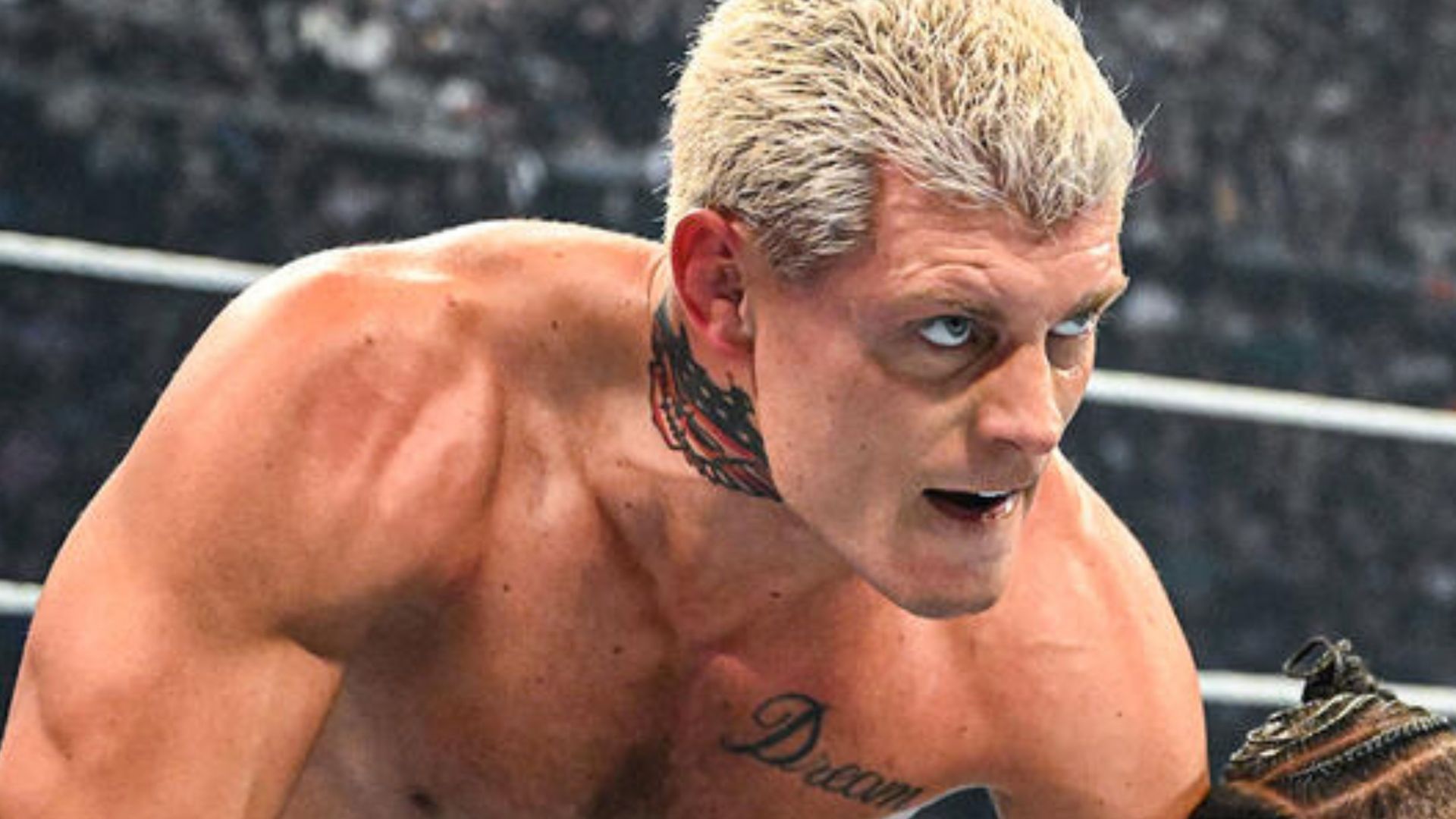 Undisputed WWE Champion Cody Rhodes