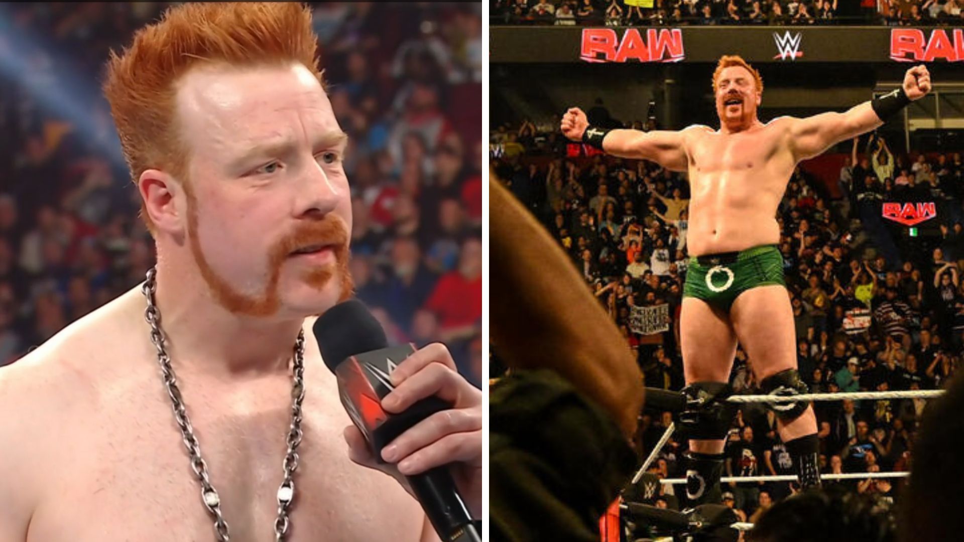 Sheamus is a former WWE World Heavyweight Champion [Image credits: SonyLiv RAW and wwe.com]