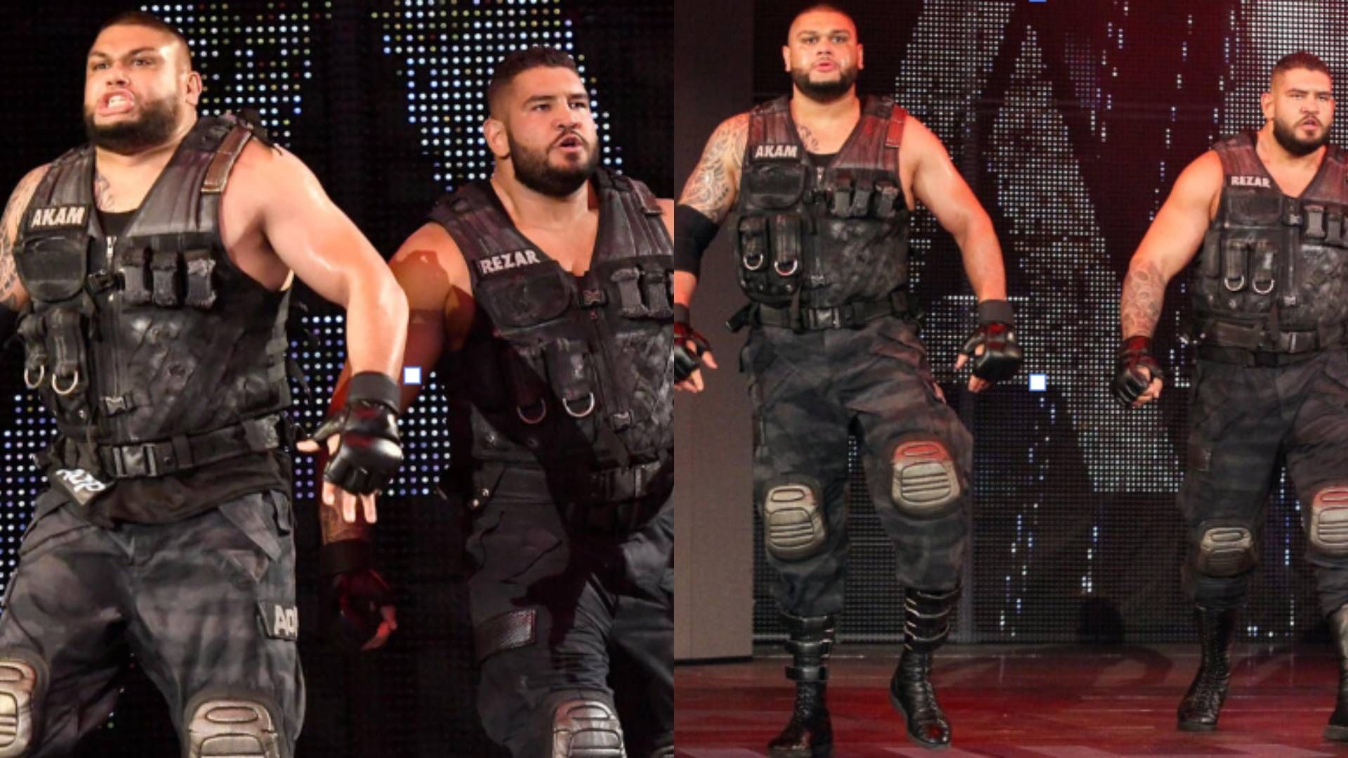 Authors of Pain