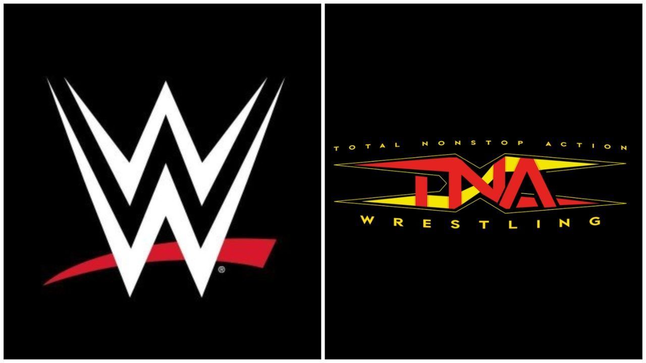 An ex-WWE star reacts to the partnership between NXT and TNA.