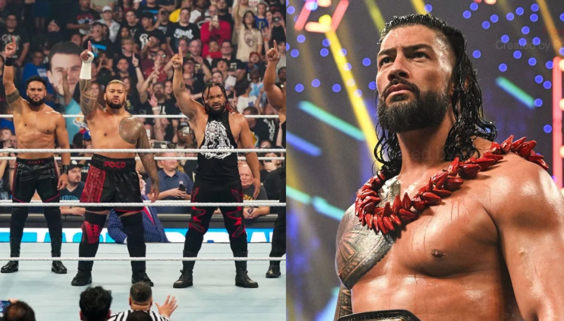 WWE में रोमन रेंस vs जैकब फाटू मैच हो सकता है (Photo: WWE.com)