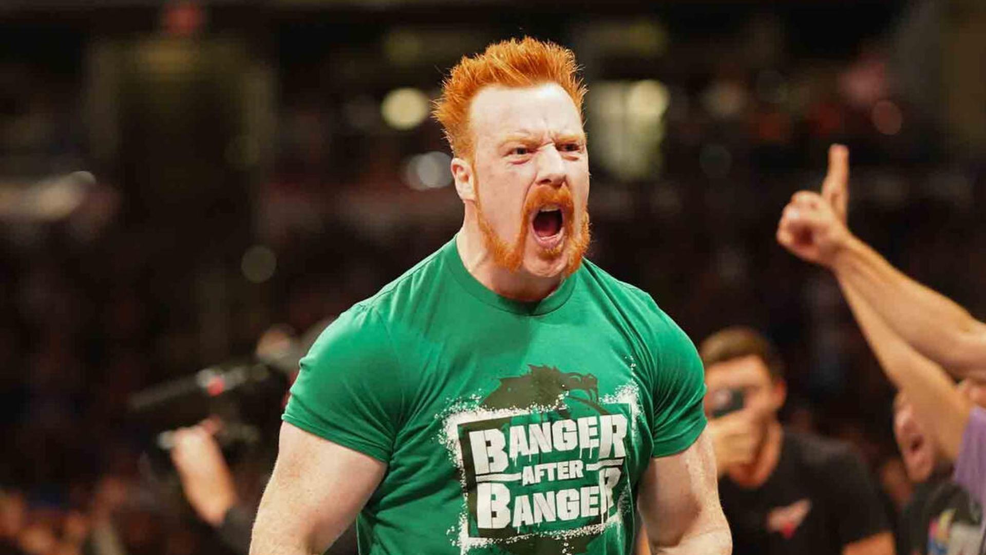 Sheamus returned to WWE after eight months! [Image credit: WWE.com]