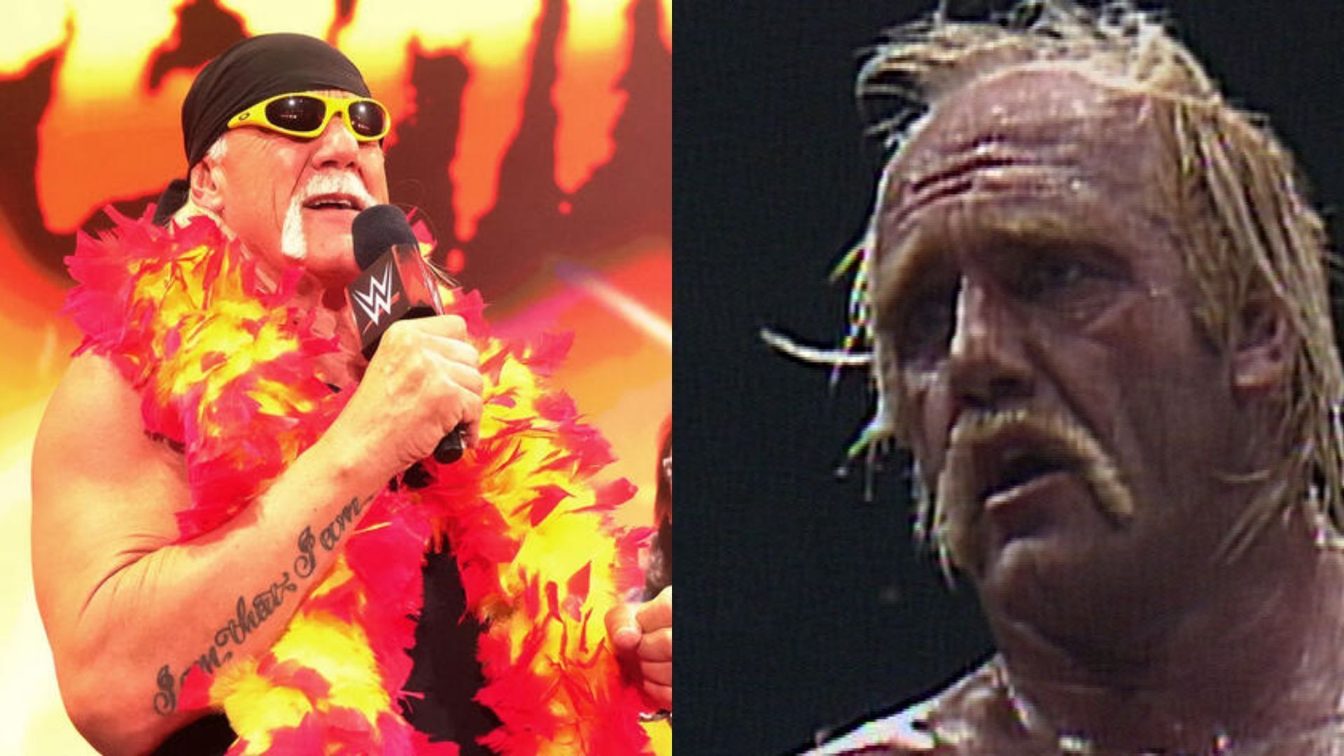 The Hulkster is at the center of yet another controversy (Credit: WWE)