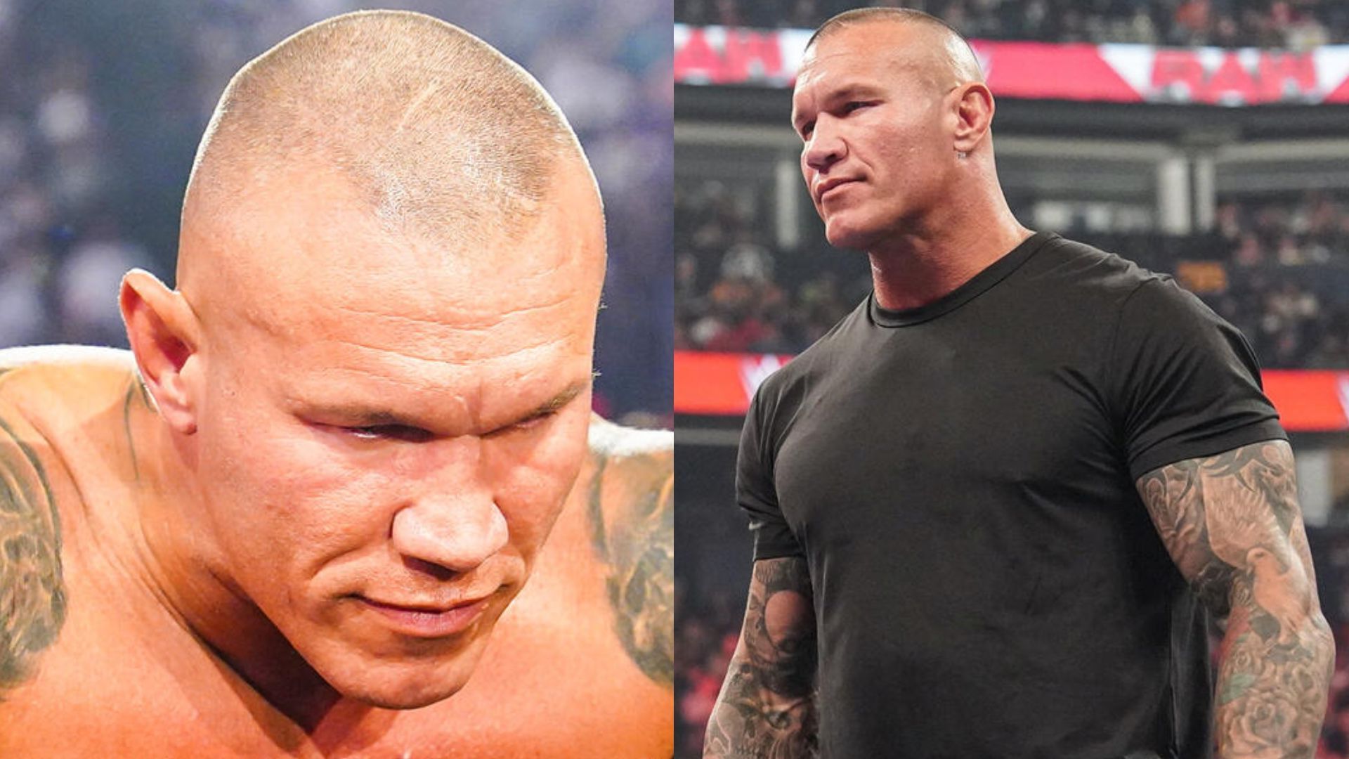 Randy Orton is waiting to strike. (Image credits: WWE.com)