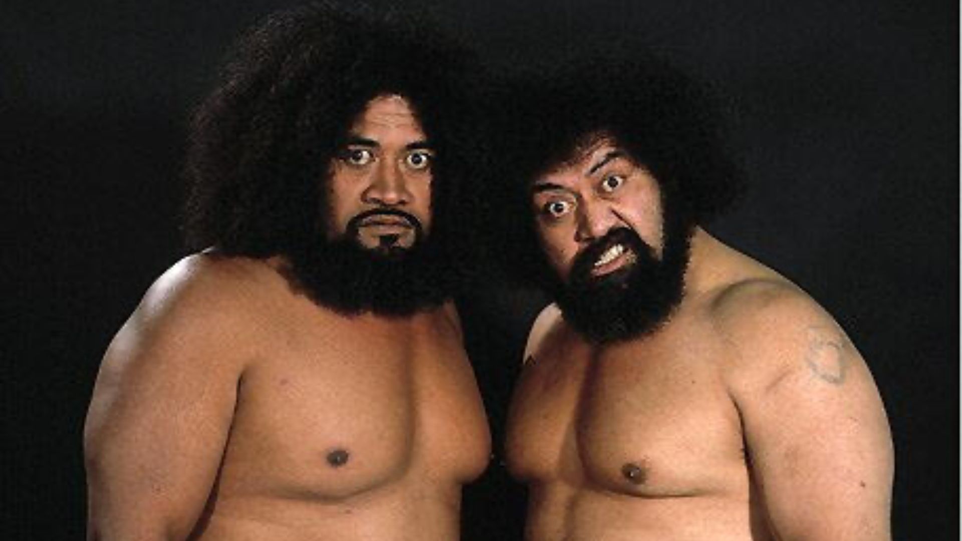 The Wild Samoans are one of the greatest tag teams in professional wrestling [Image Credits: wwe.com]