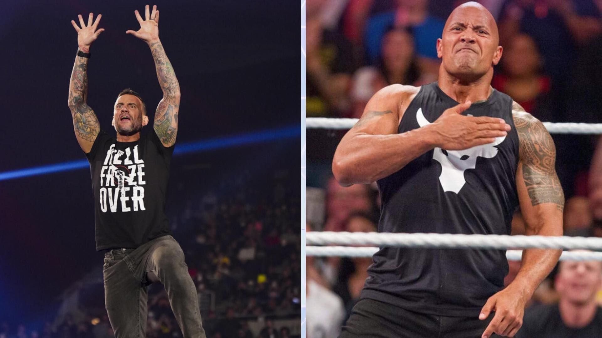 CM Punk and The Rock in picture