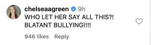 A screengrab of Chelsea Green's comment. [Image credits: WWE's official Instagram handle]