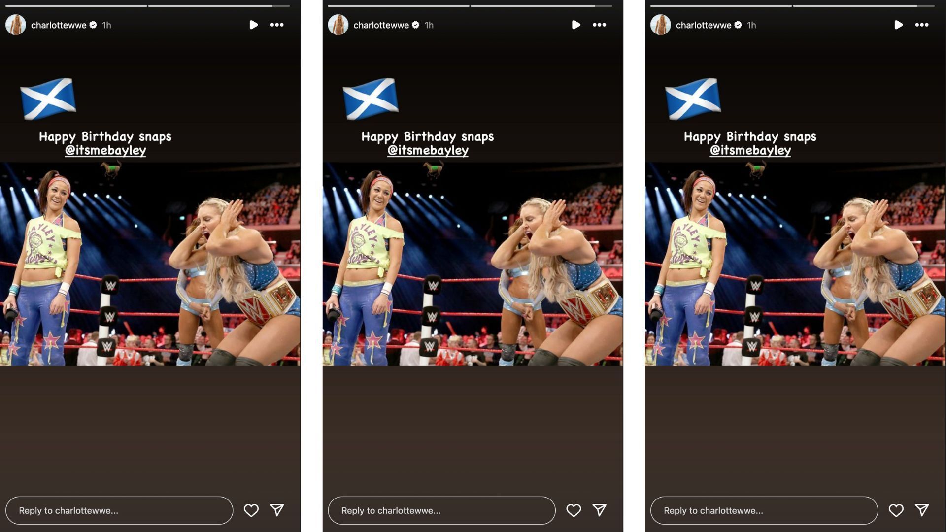 Screengrab of Flair wishing Bayley on her birthday. [Photo credit: Screengrab Flair&#039;s Instagram story]