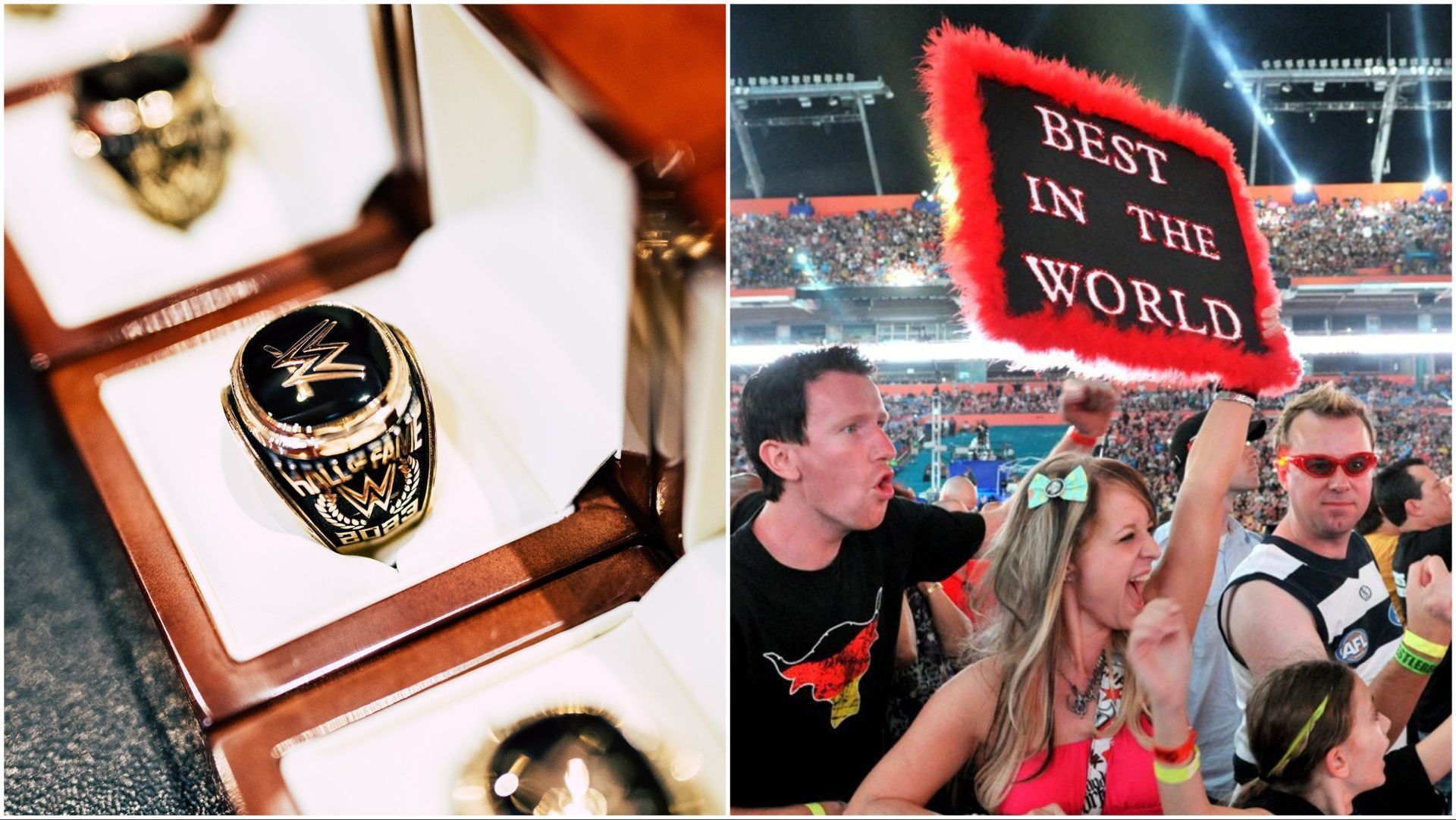 WWE Hall of Fame ring on display, WWE fans cheer at WrestleMania