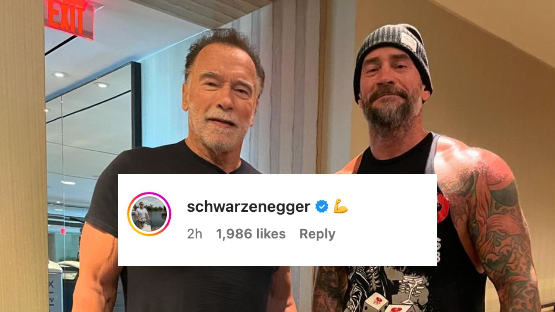 Arnold Schwarzenegger reacts to CM Punk&#039;s post on Instagram.