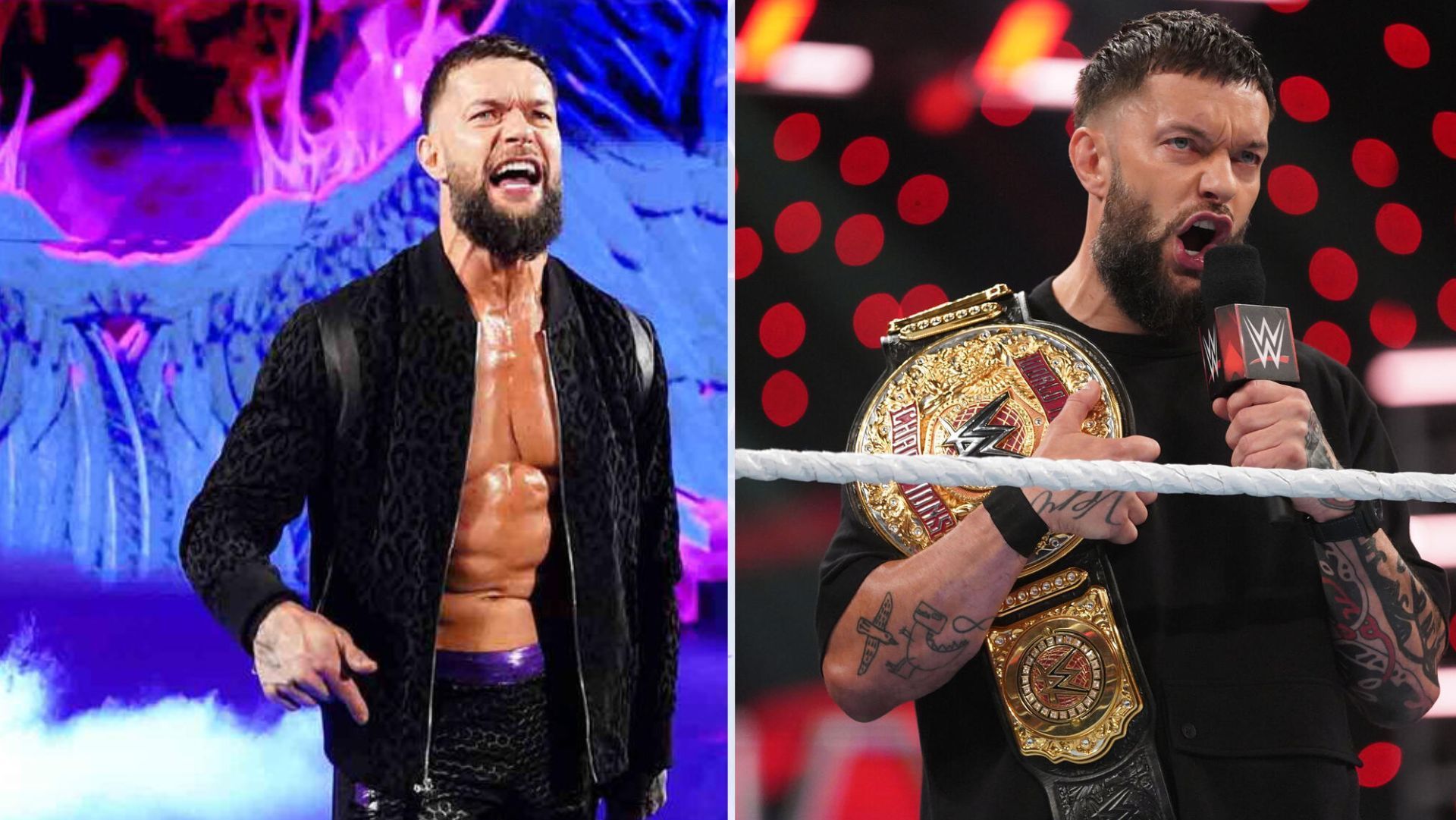 Finn Balor and JD McDonagh defeated Awesome-Truth to become the champions. [Image Source: WWE.com]
