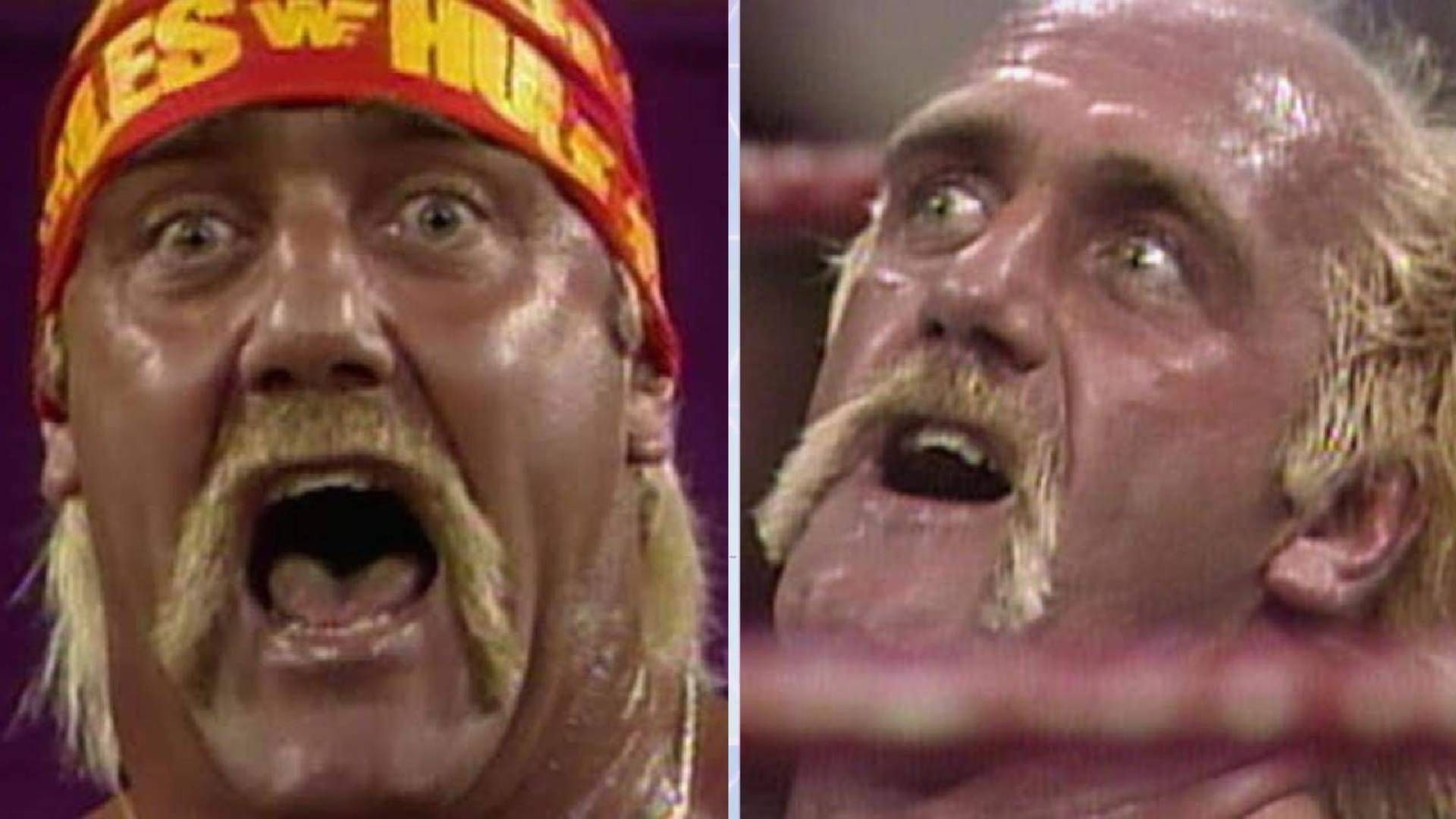 Hulk Hogan