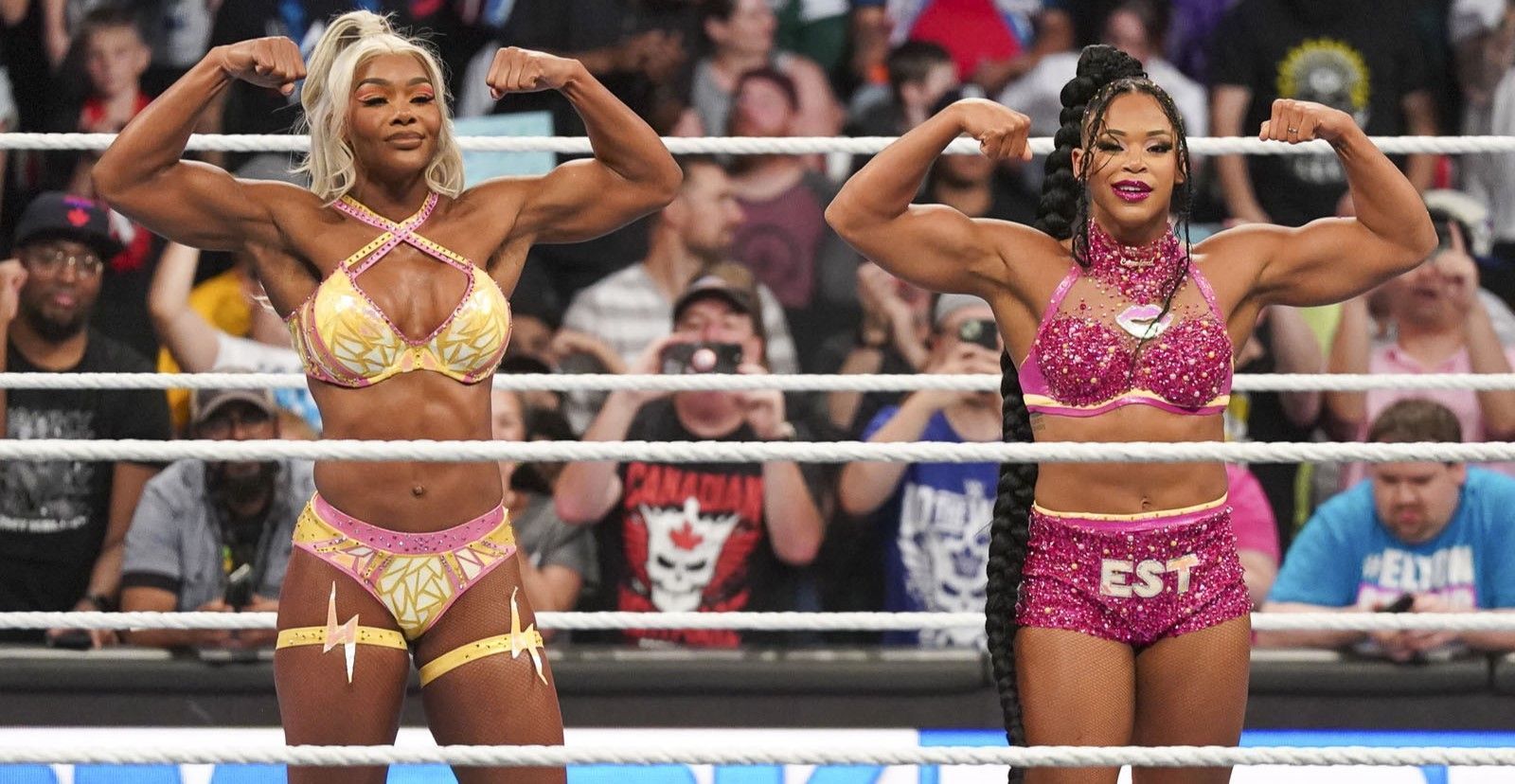 Jade Cargill and Bianca Belair are former tag champions (Image via WWE.com)