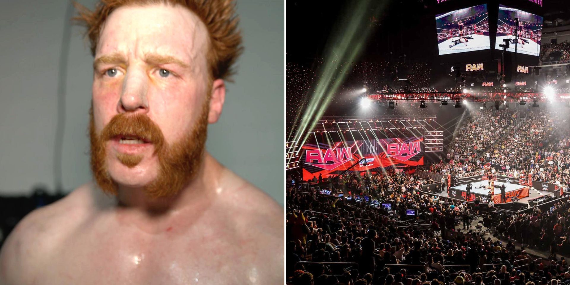 A current RAW star turned on Sheamus (Images via WWE.com)