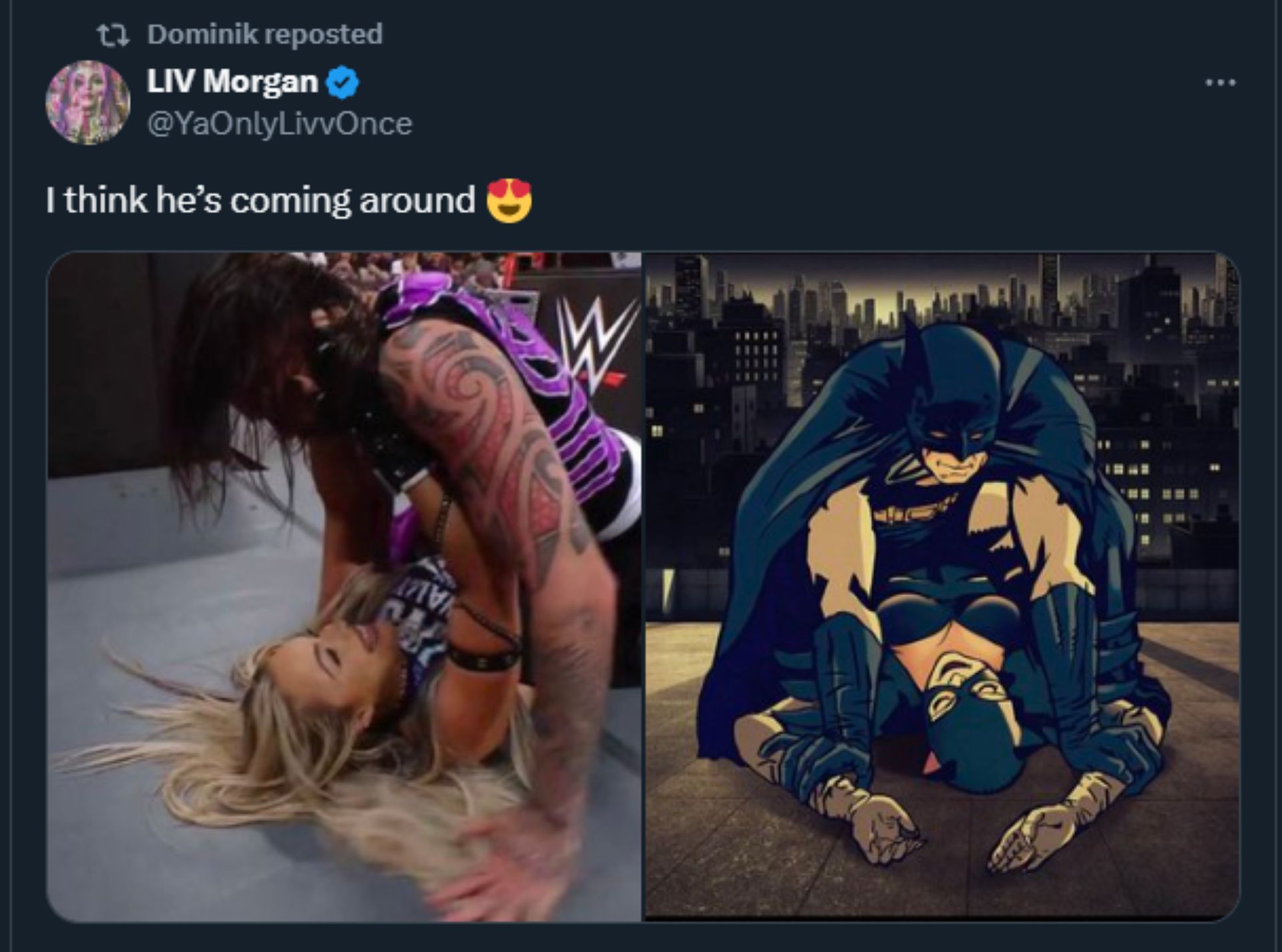 A screengrab of Dominik Mysterio reposted Liv Morgan&#039;s tweet