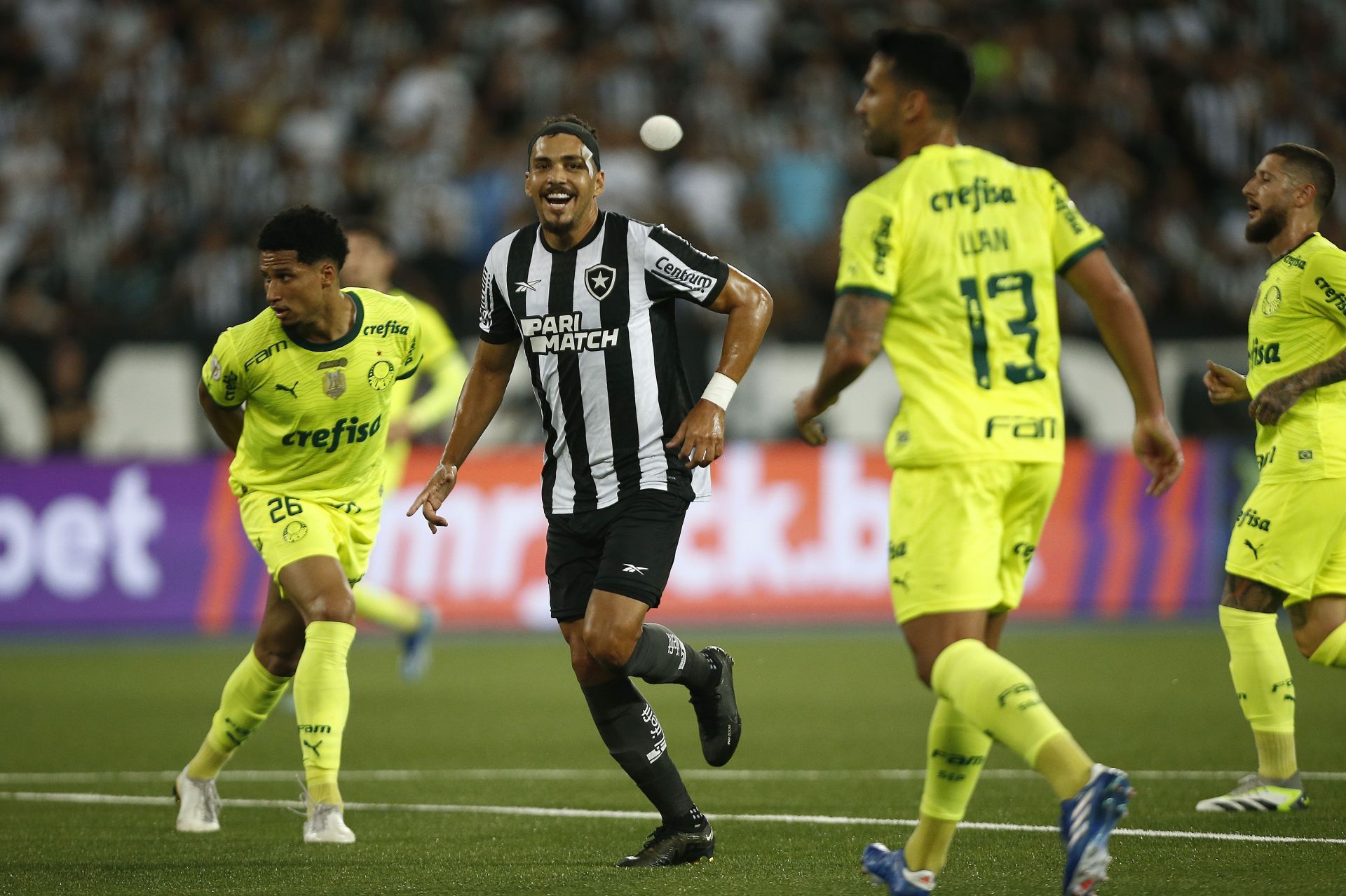 Botafogo v Palmeiras - Brasileirao 2023