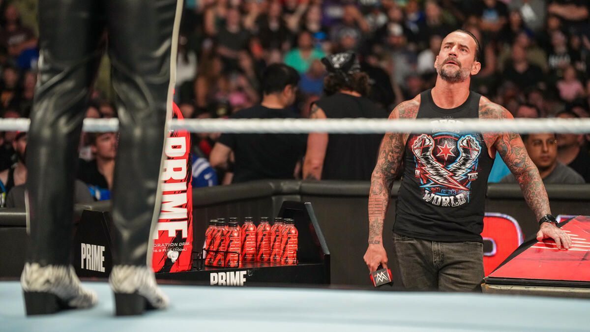 WWE Superstar CM Punk (Photo credit: WWE.com)