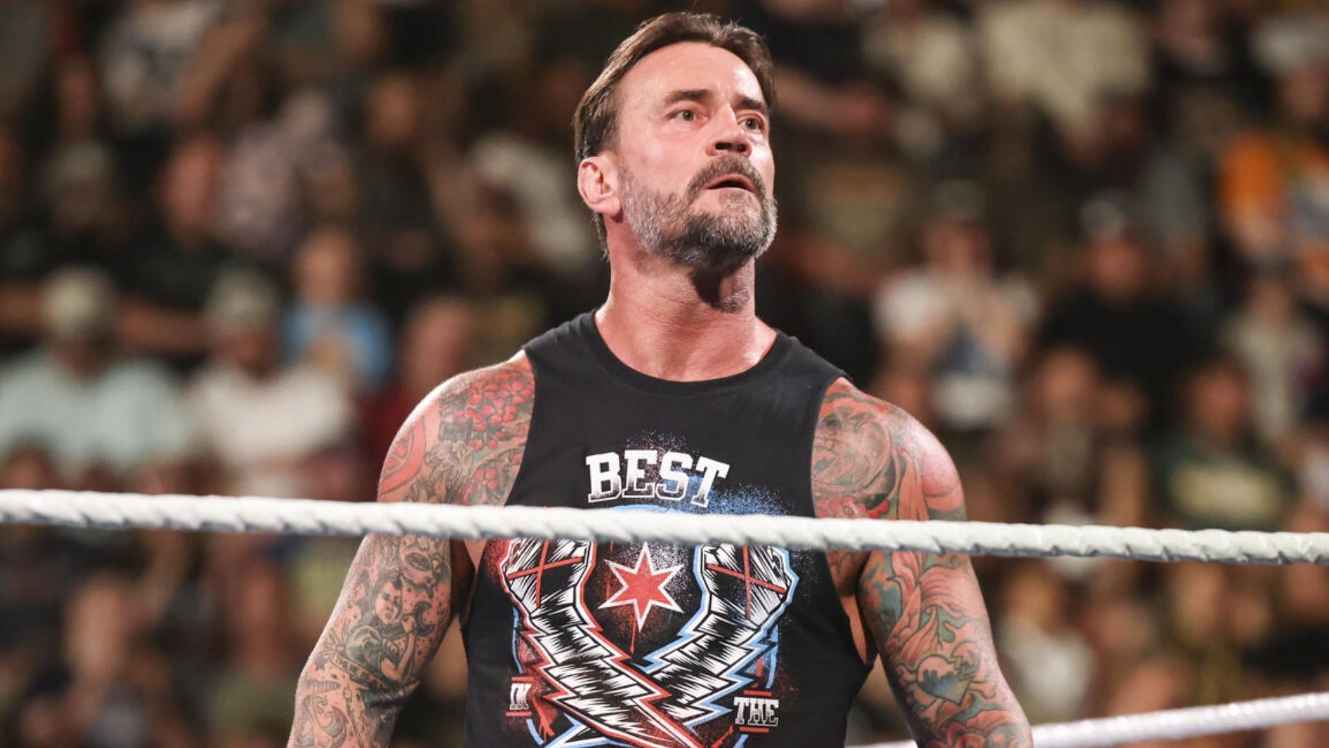 CM Punk [Image credits: WWE.com]