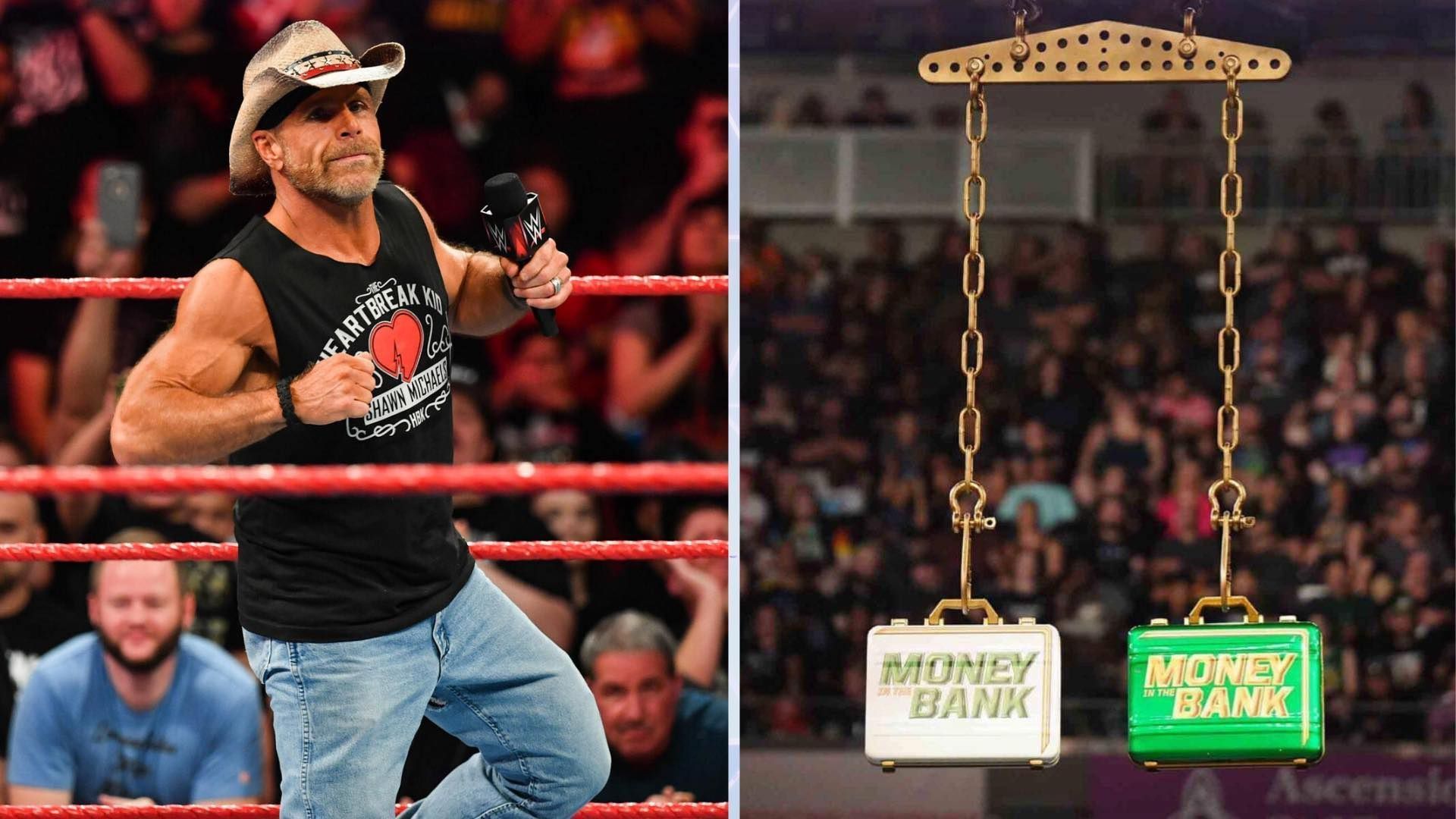 Shawn Michaels could help a non-WWE star appear at Money in the Bank [Credit: WWE.com]