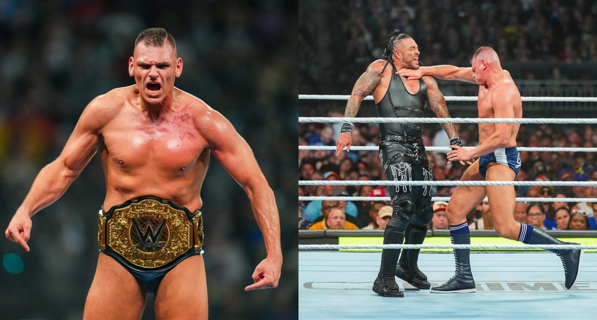 WWE SummerSlam में गुंथर चैंपियन बने (Photo: WWE.com)