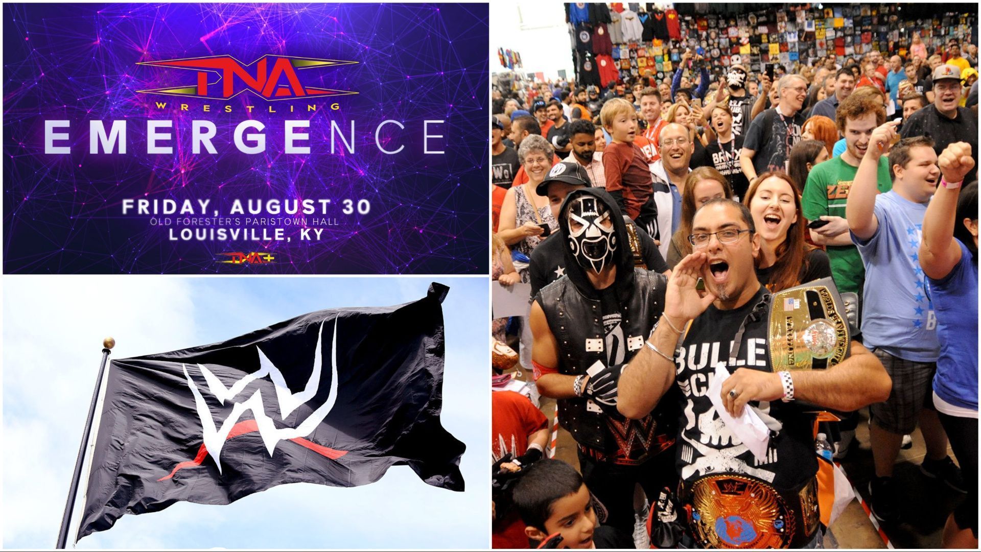 Wrestling fans, TNA Emergence poster, WWE logo flag on display