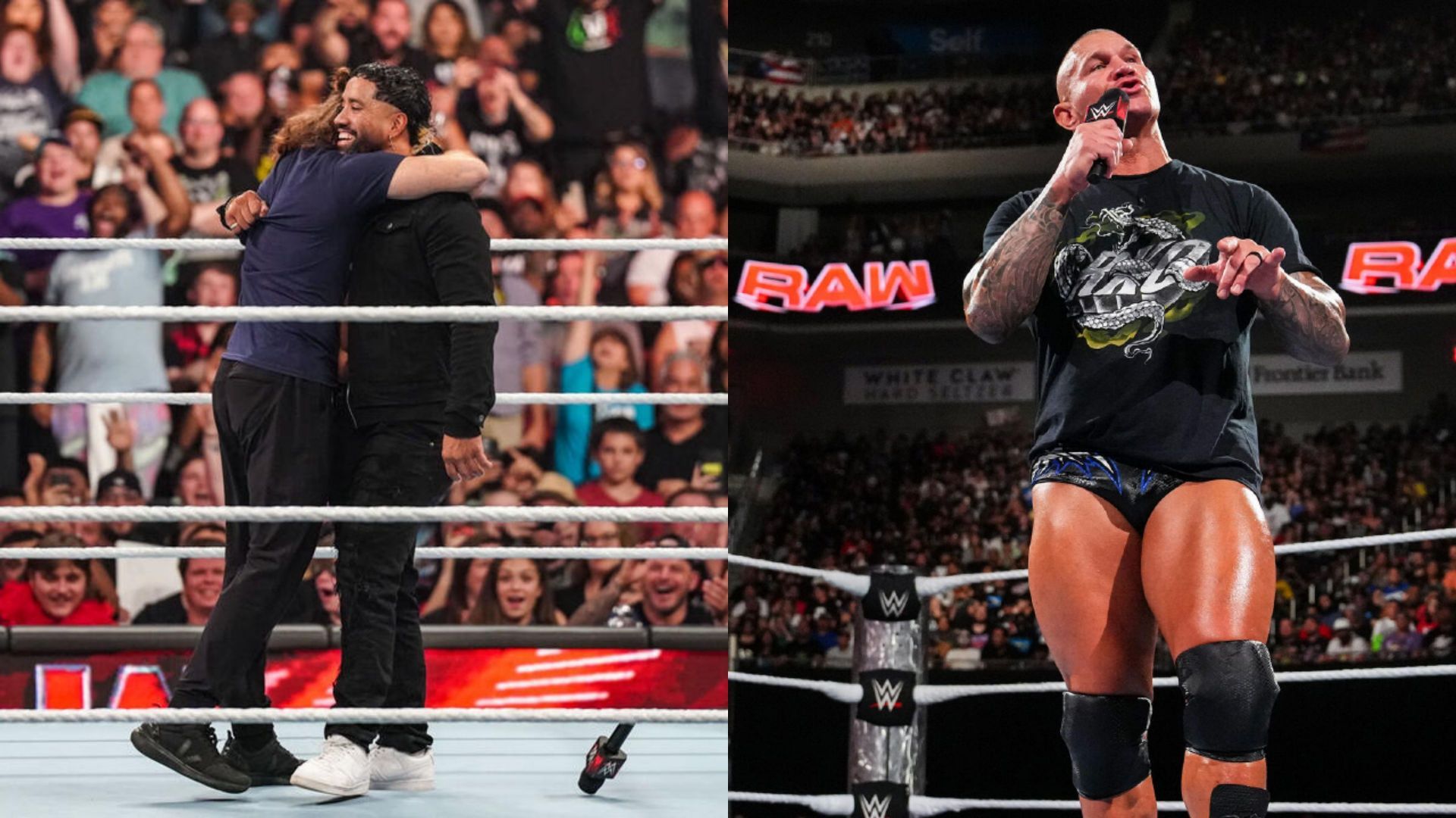 WWE में कई बार कुछ हारकर ही जीत मिलती है (Photos: WWE.com)