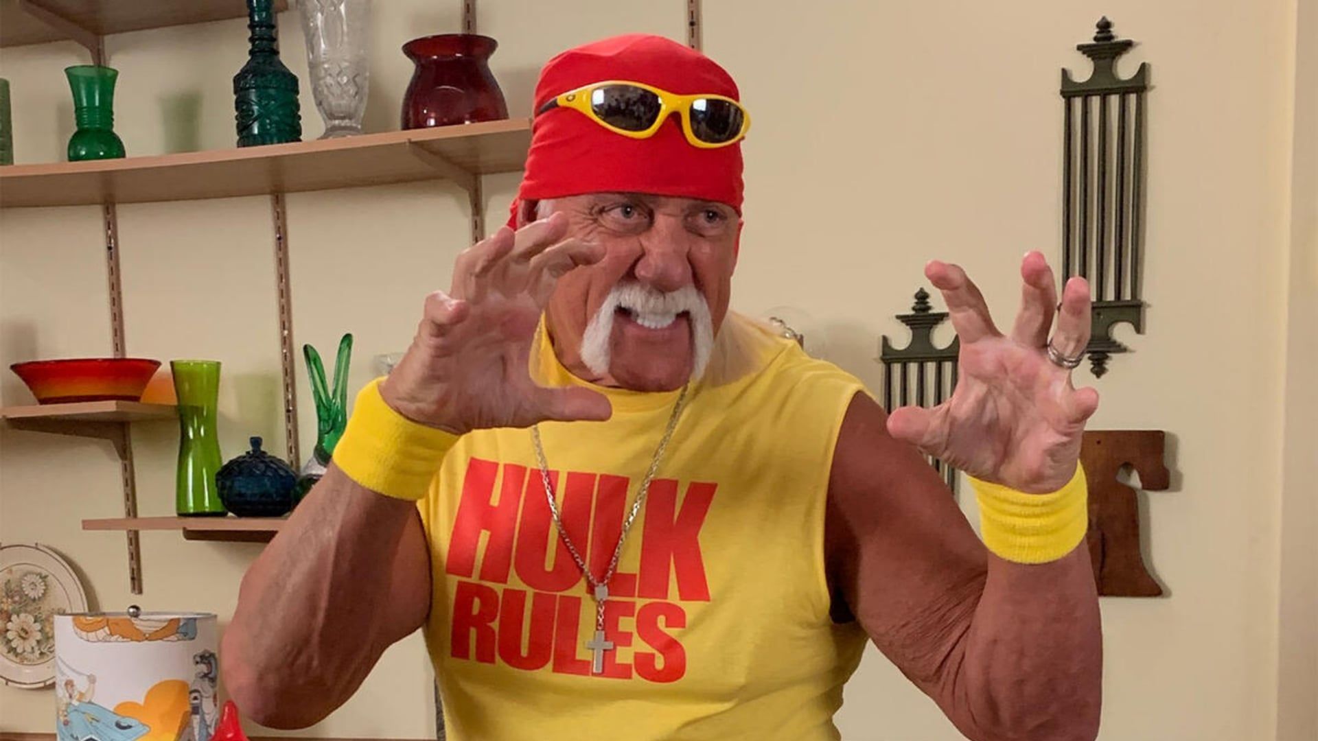 Hulk Hogan has been a controversial figure (Credit: WWE.com)