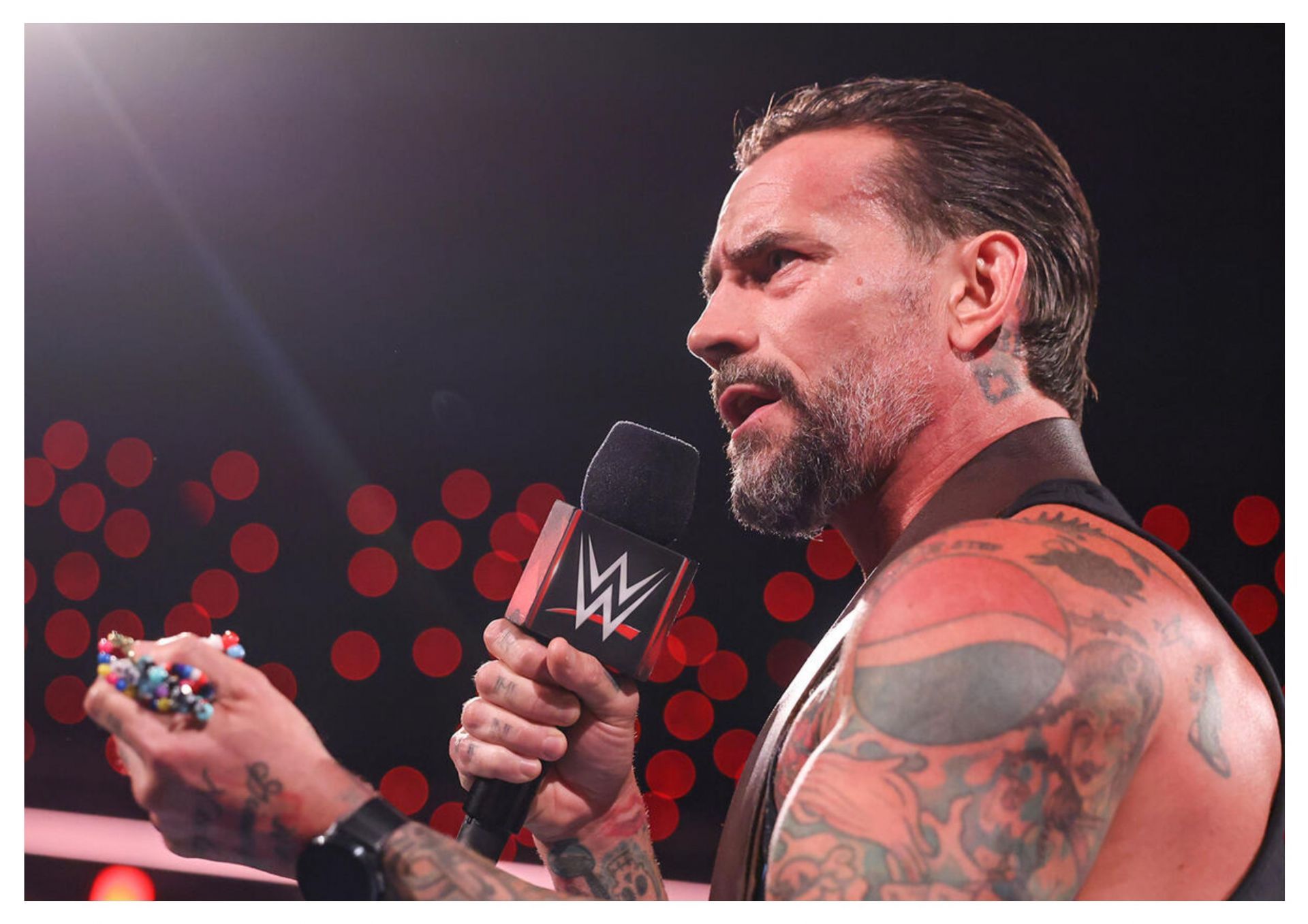 WWE Superstar CM Punk (Photo credit: WWE.com)