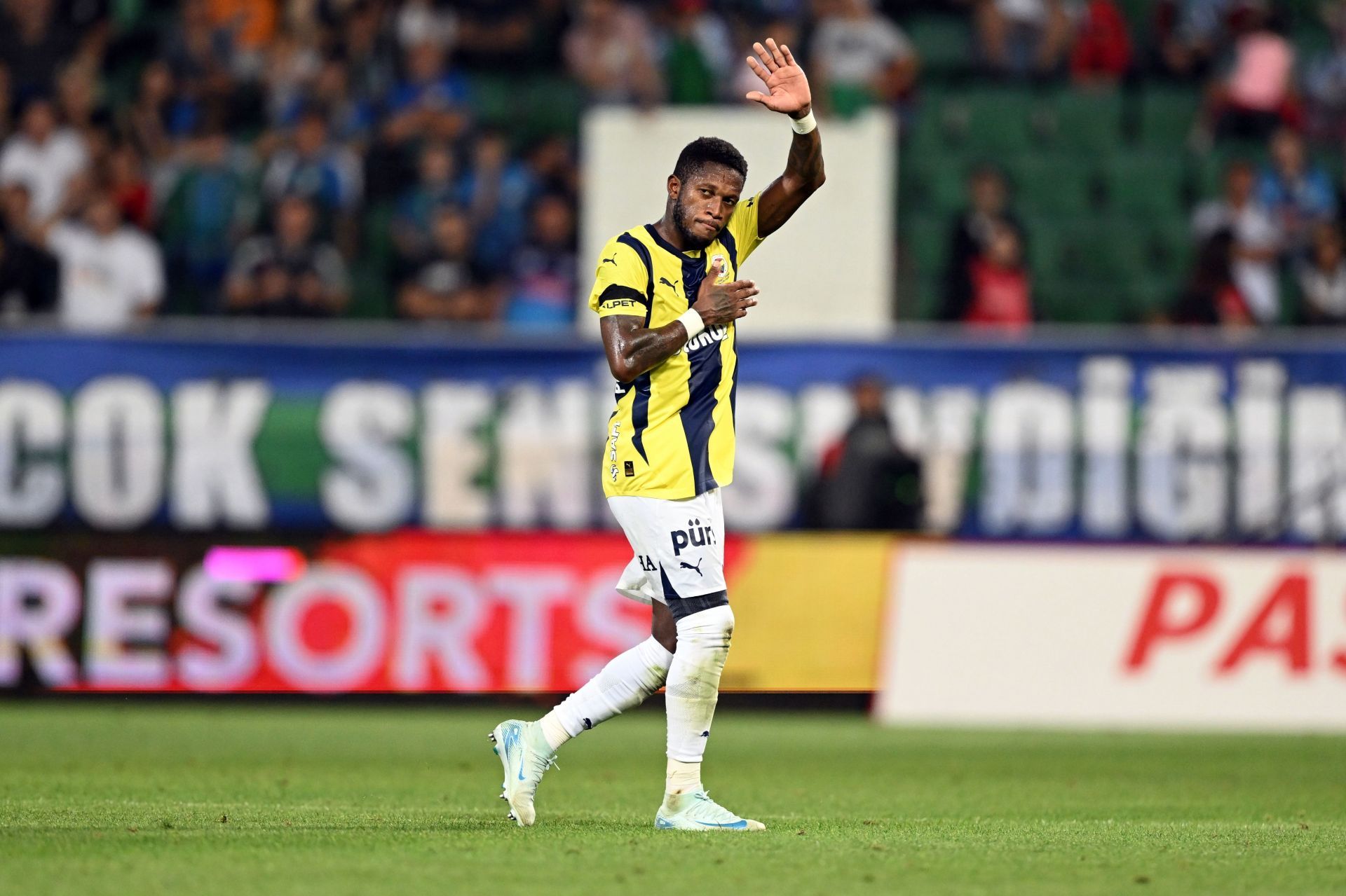 Fenerbahce vs Alanyaspor Prediction and Betting Tips | August 30th 2024