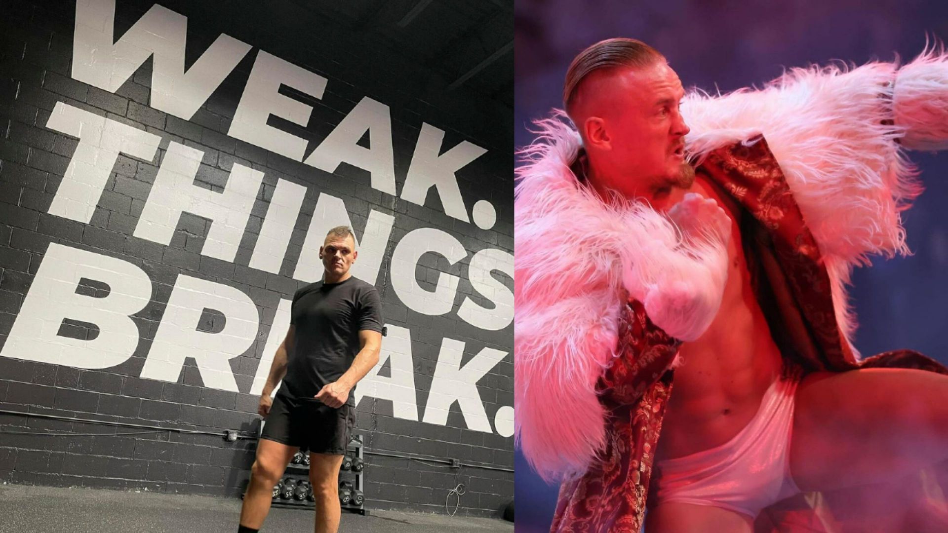 WWE के दो बड़े सुपरस्टार्स के बीच हुआ मुकाबला (Photos: Gunther and Ilja Dragunov Instagram)