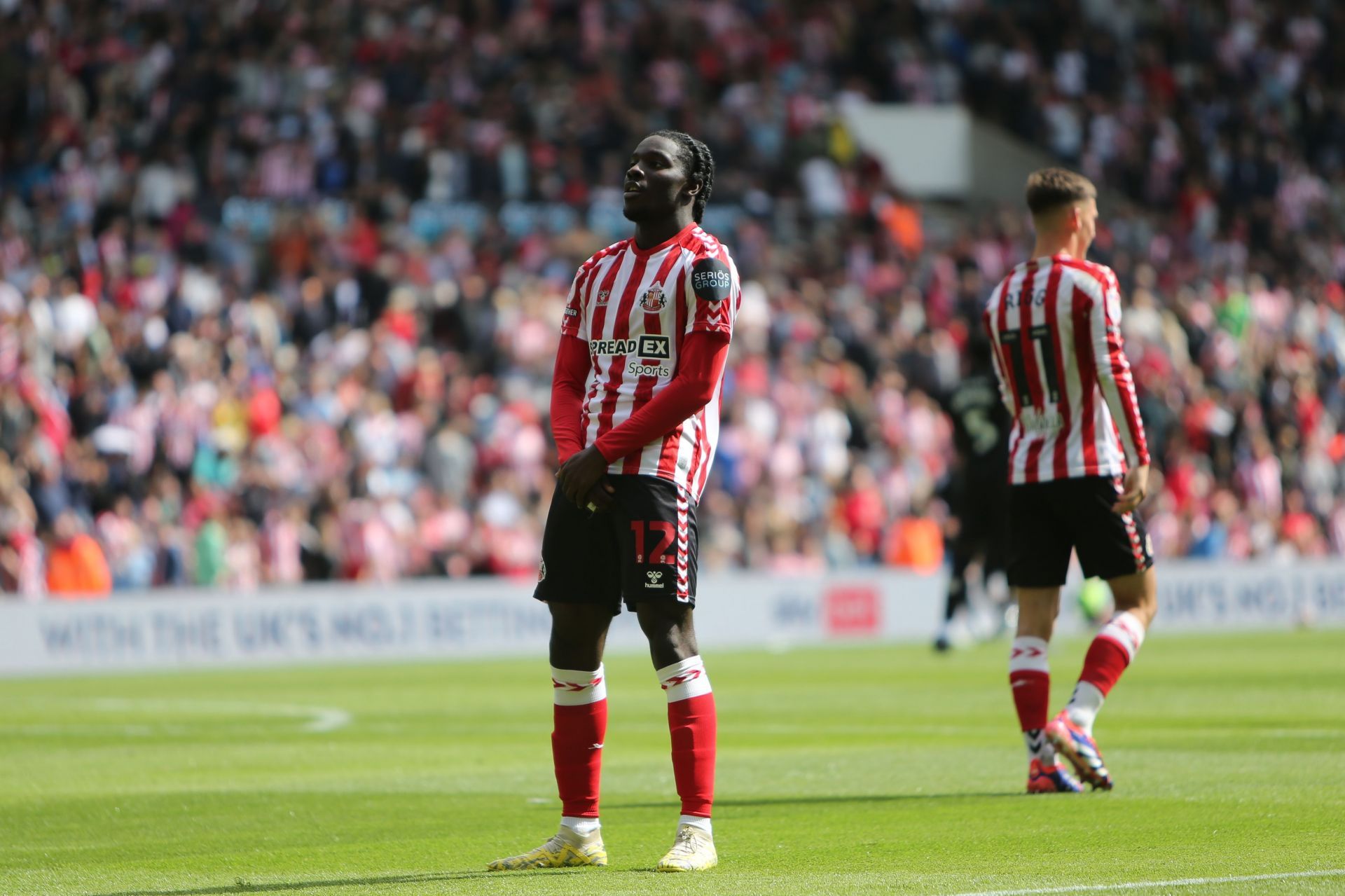 Sunderland are flying high in the Championship.