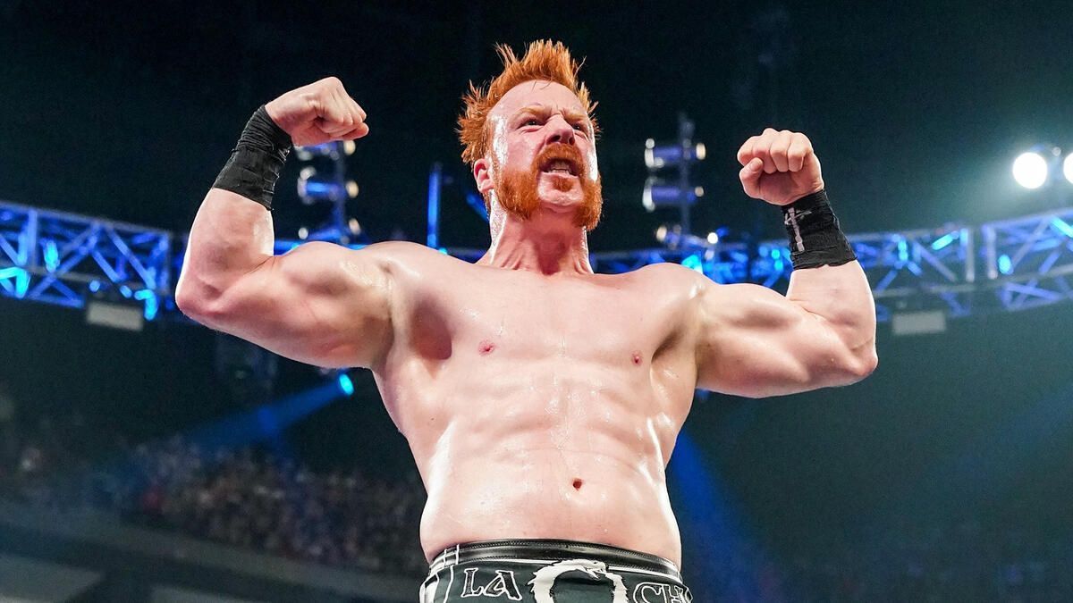 Sheamus has become a WWE legend. (Image via WWE.com)