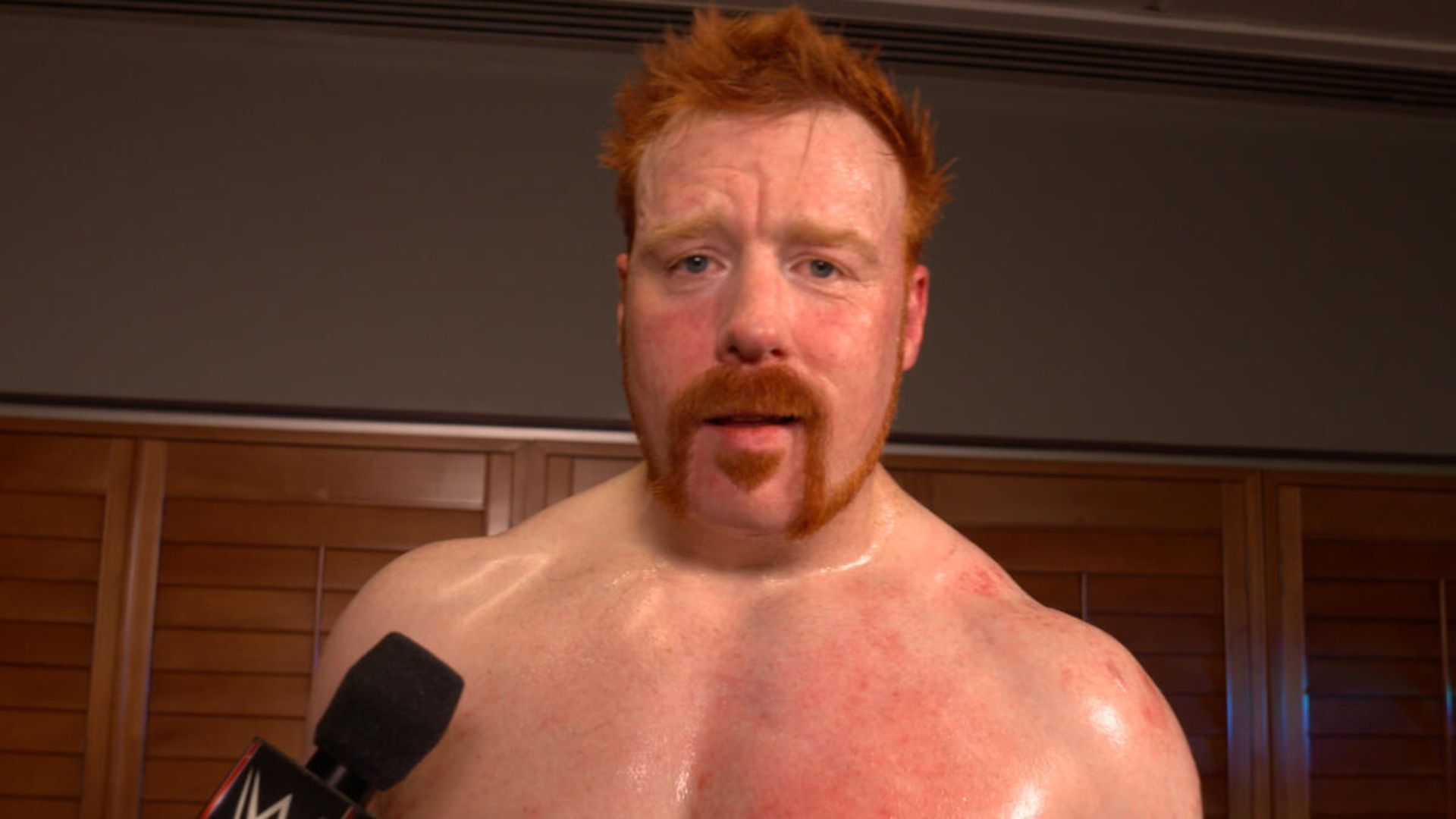 Sheamus performs on RAW [Photo credit: WWE]