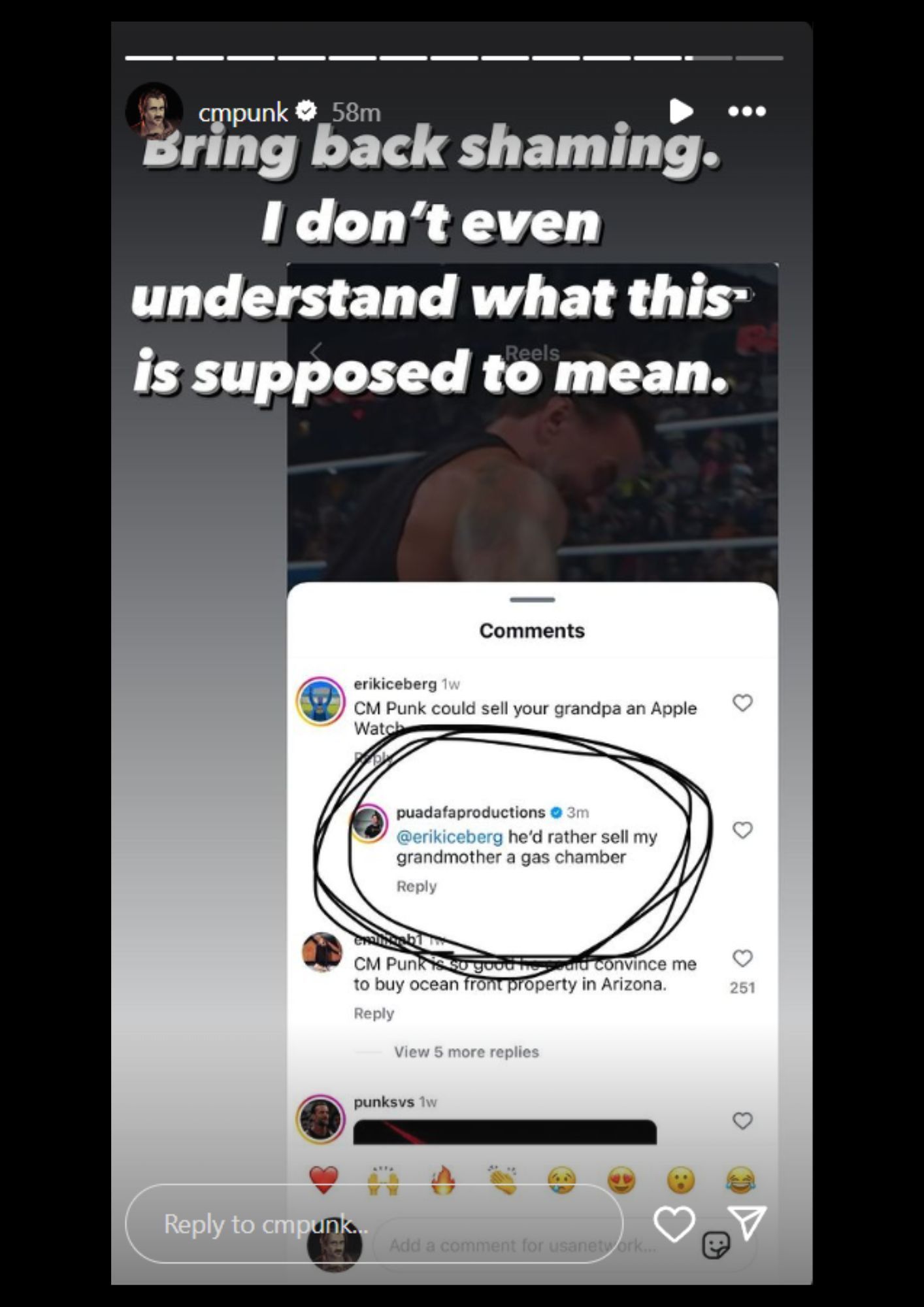 CM Punk calls out WWE fan [Screenshot of Punk&#039;s Instagram story]