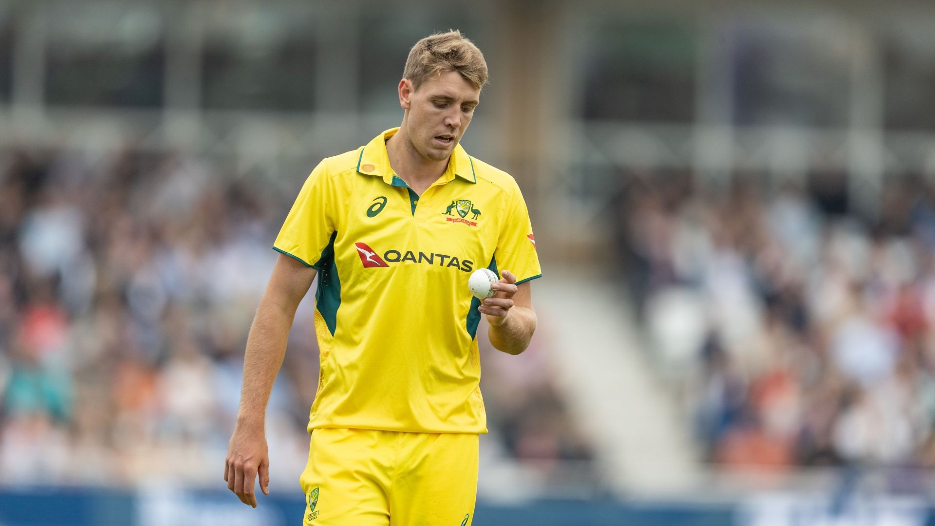 Cameron Green ruled out of ENG vs AUS 2024 ODI series due to back