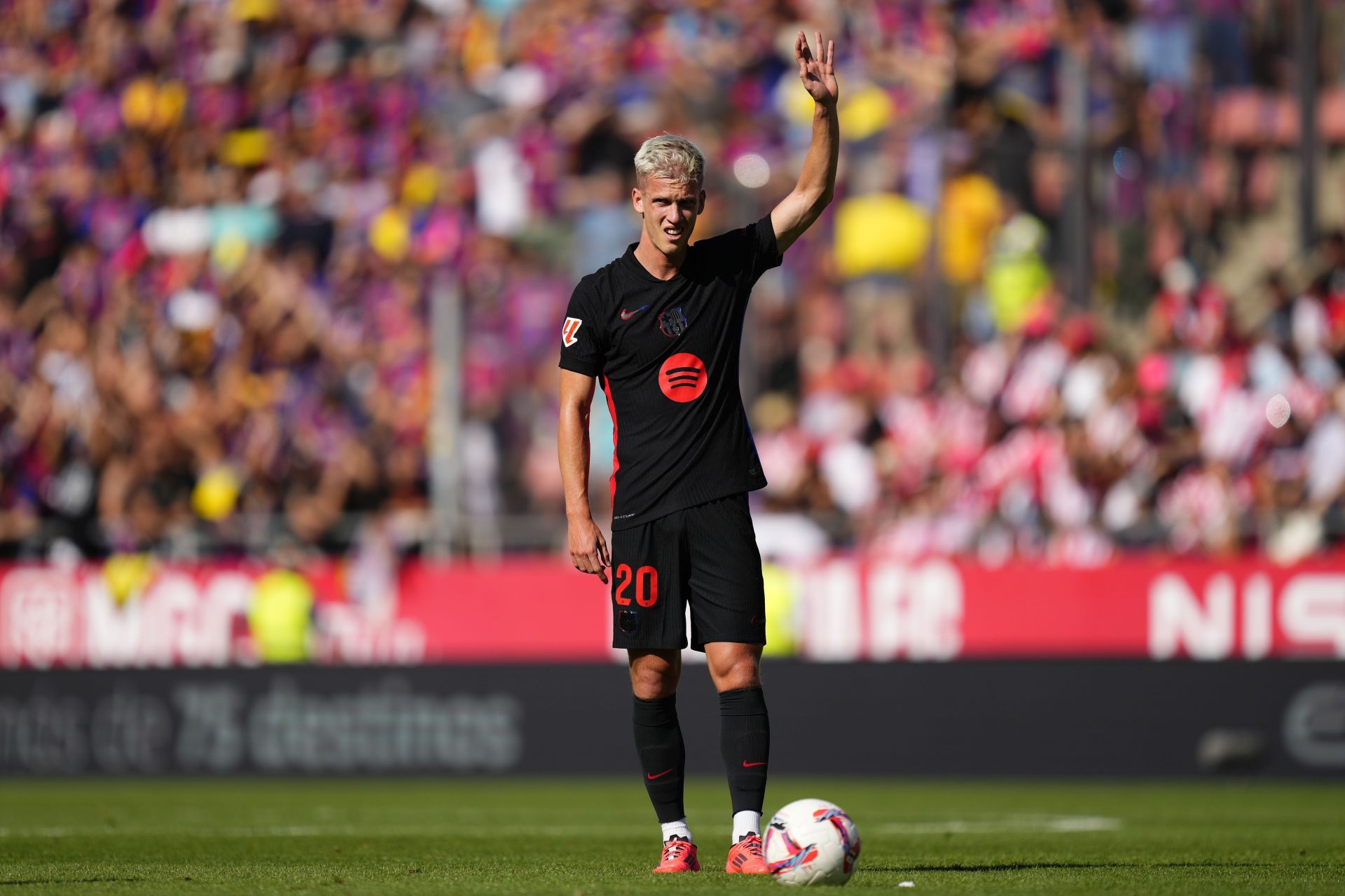 Dani Olmo arrived at Camp Nou this summer