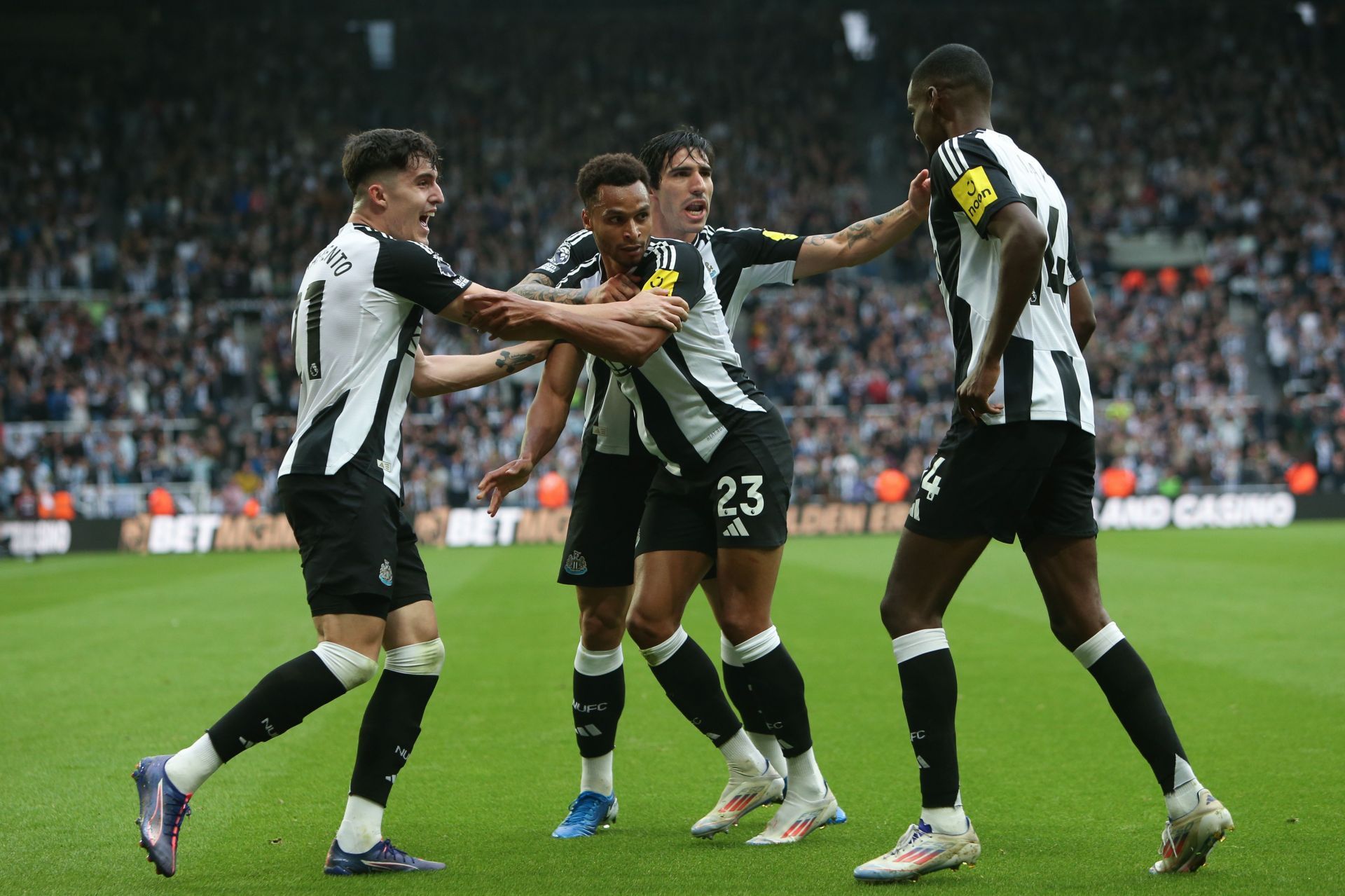 AFC Wimbledon vs Newcastle United Prediction and Betting Tips