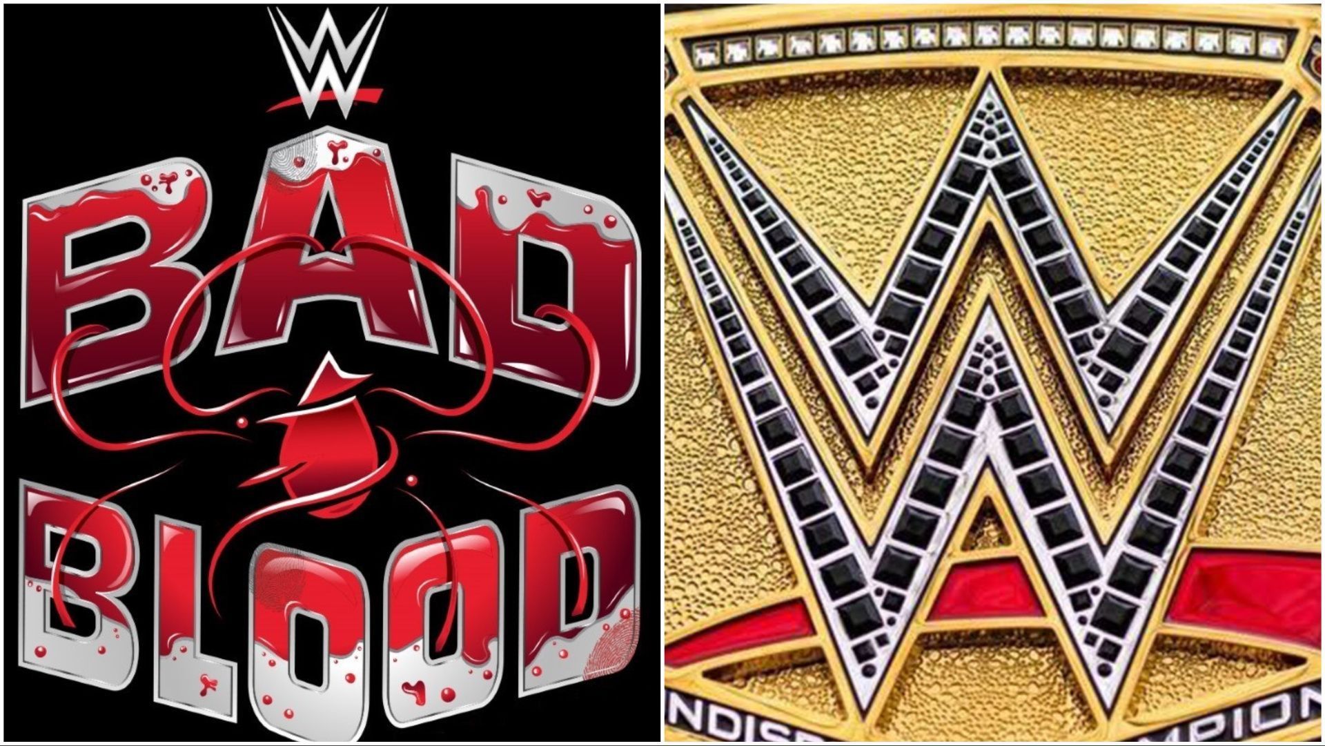 WWE Bad Blood 2024 logo, WWE championship plate on display