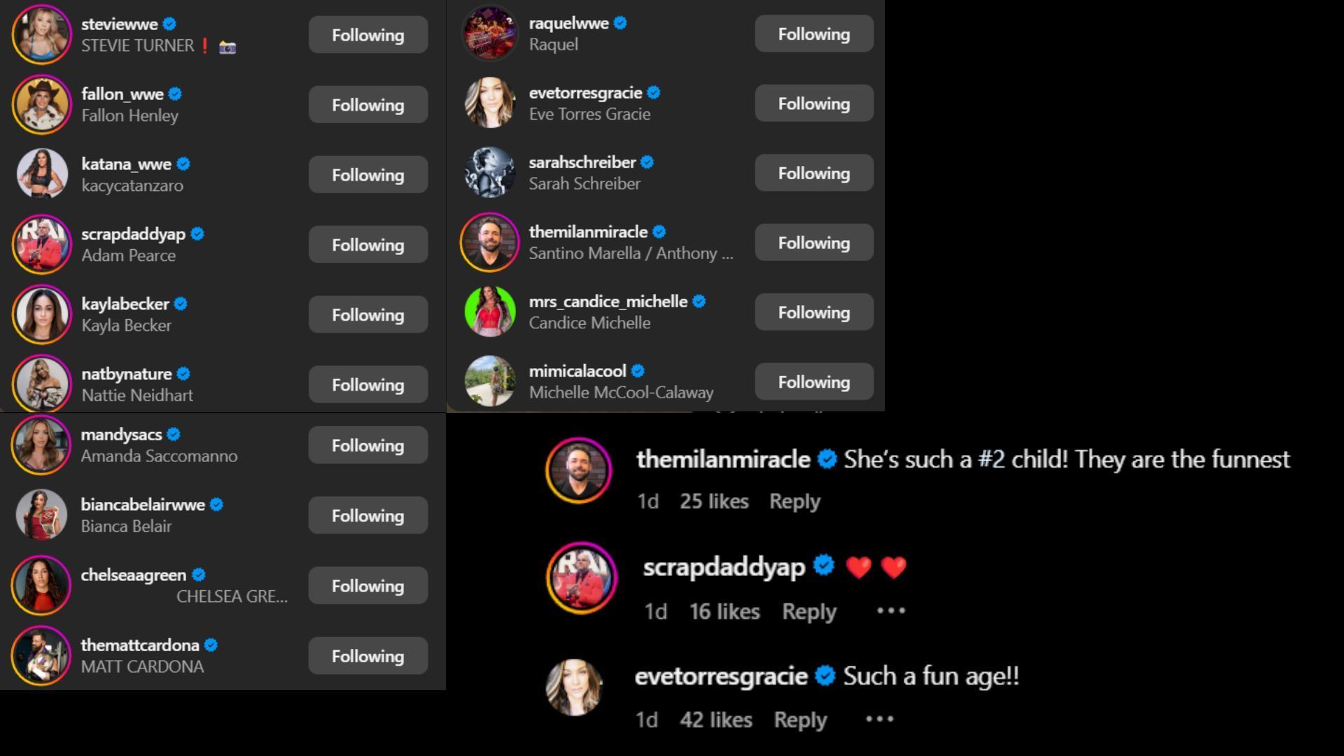 Screenshot of stars&#039; likes and comments on Maryse&#039;s post [Image credits: Maryse&#039;s Instagram]