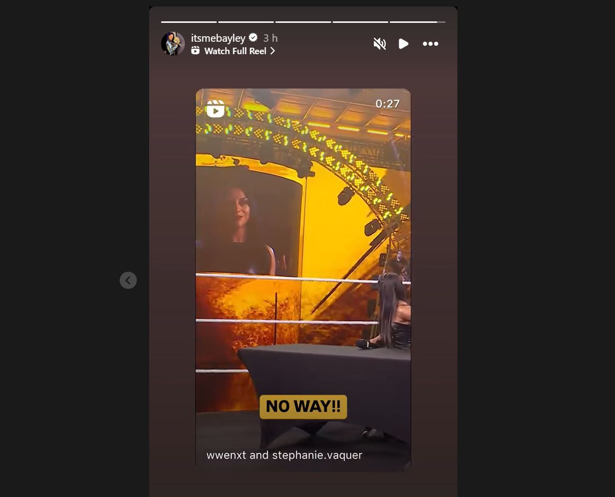 Screengrab of Bayley&#039;s Instagram story (Credit: Bayley&#039;s Instagram)