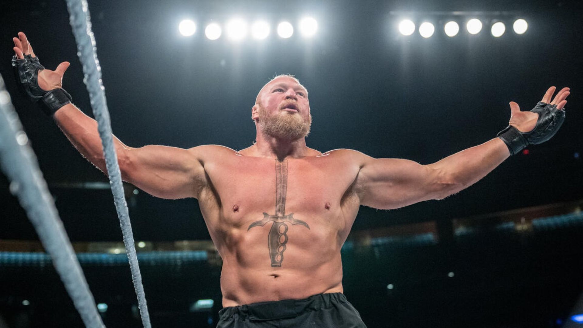 Lesnar has not wrestled in over a year. [Photo: WWE.com]