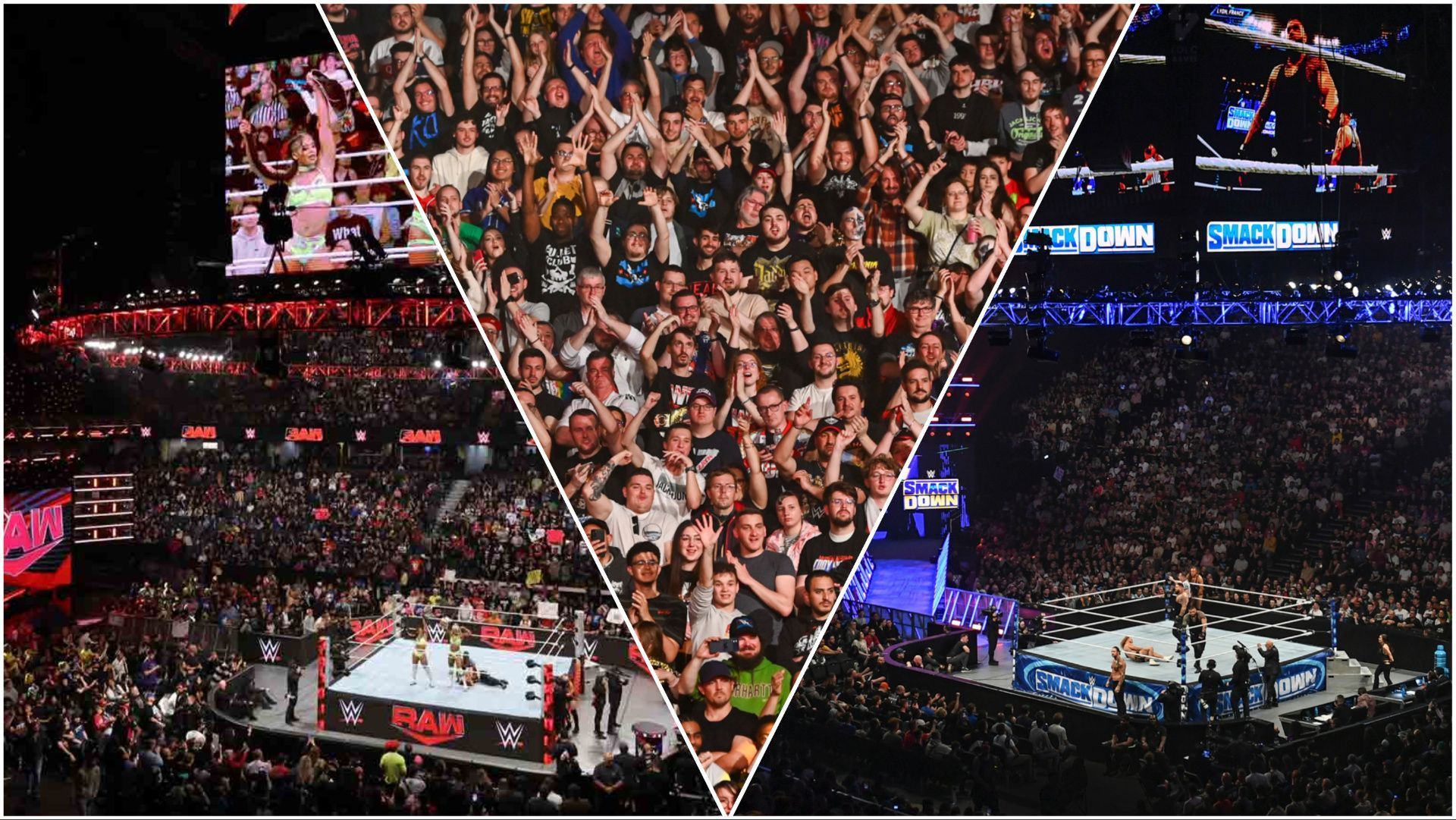 WWE fans cheer for Superstars on RAW and SmackDown