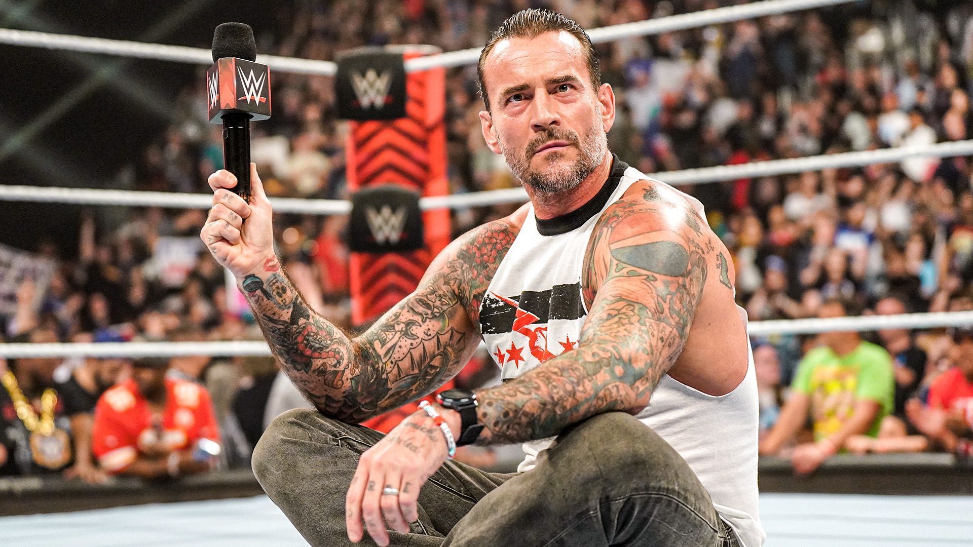 CM Punk (Image credit: WWE.com)