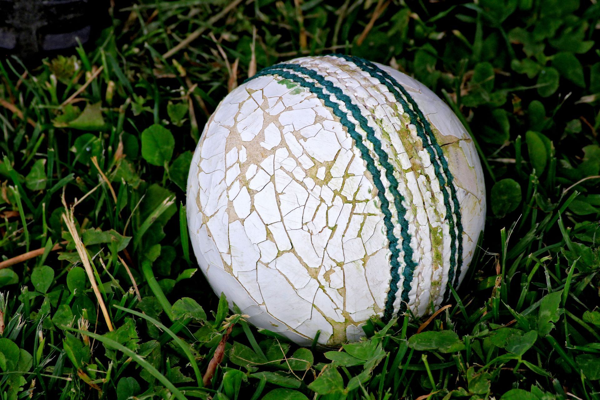 DH Cricket Club Versus Peace Cricket Club - Brampton Cricket League - Source: Getty