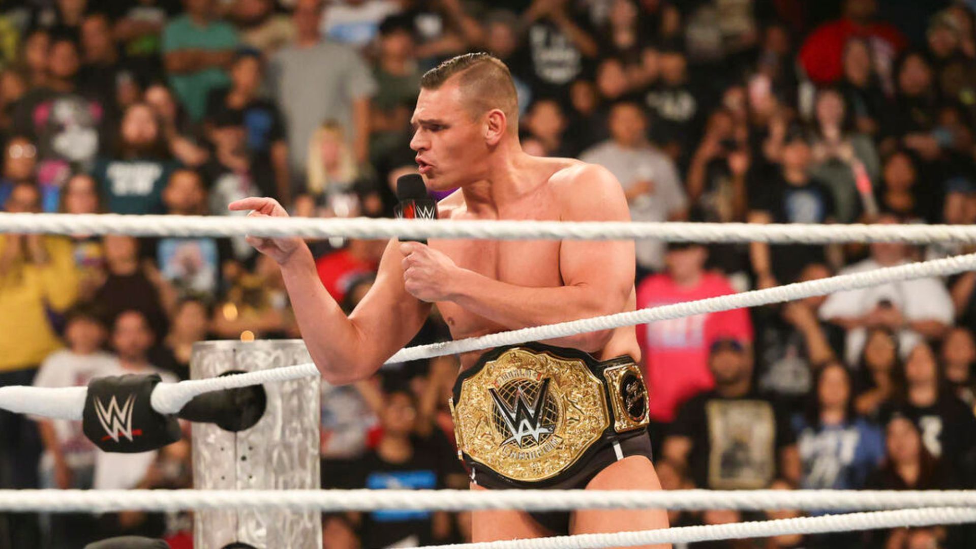 Gunther is the current World Heavyweight Champion! [Image credit: WWE.com]